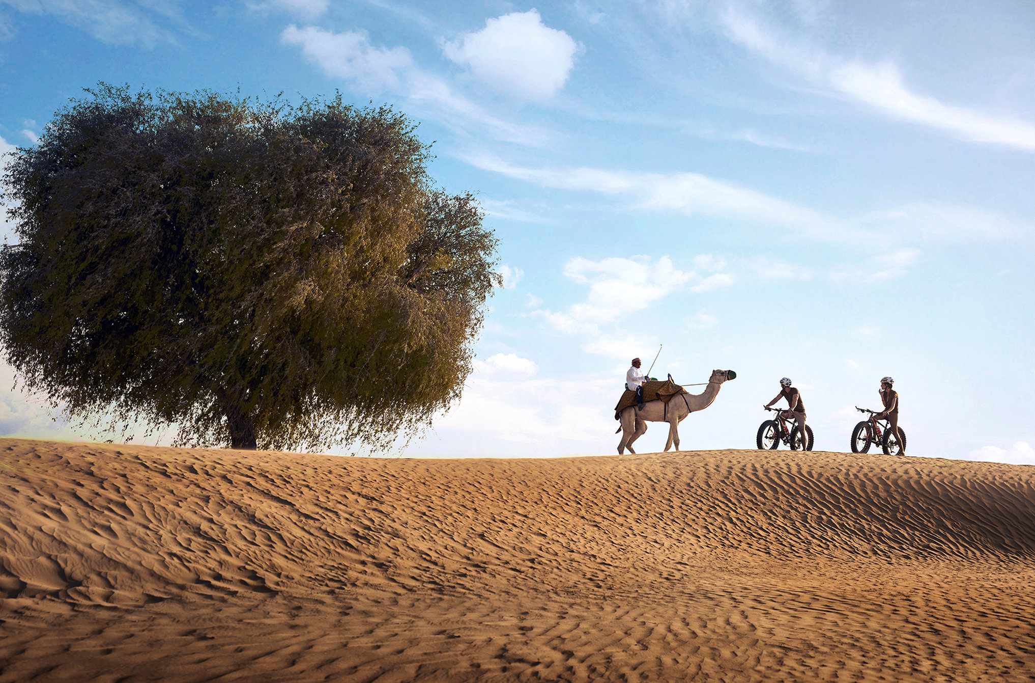 Bab Al Shams, A Rare Finds Desert Resort, Dubai by null