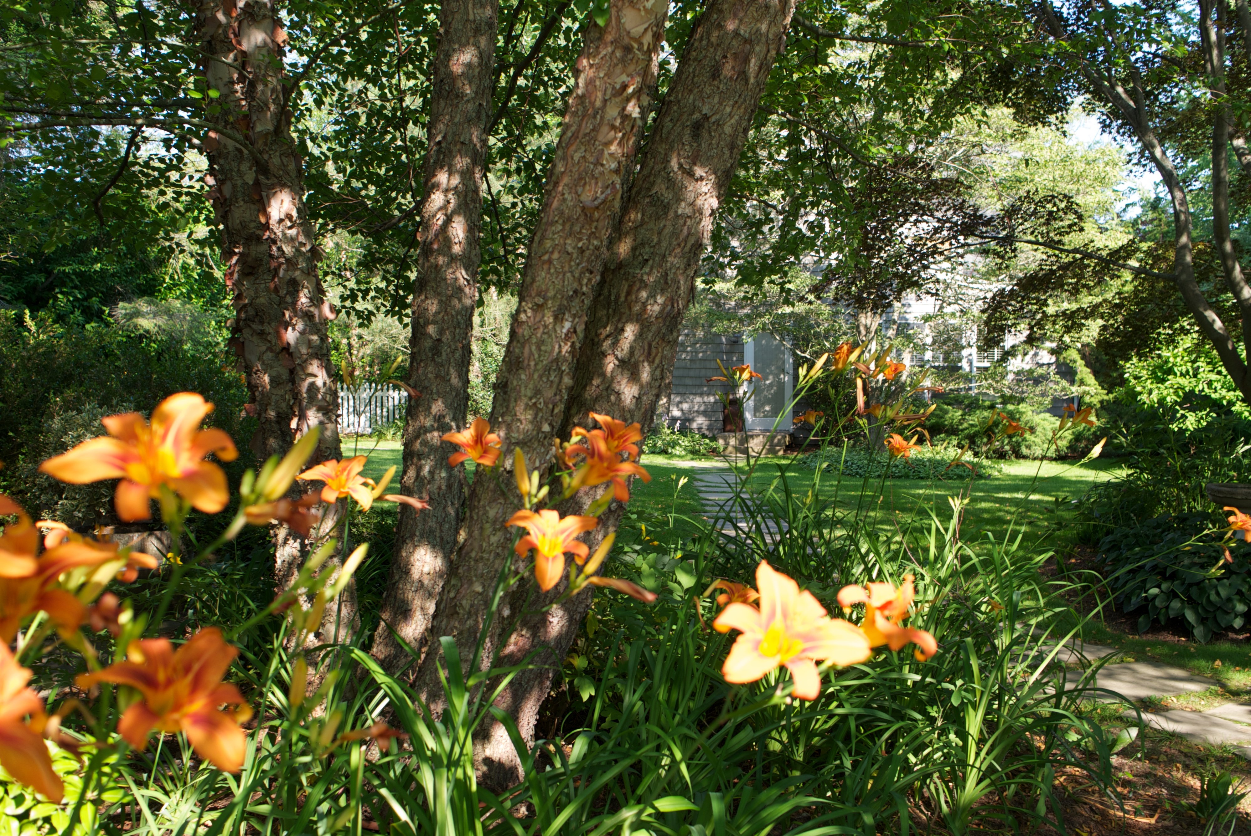 Mill House Inn by null