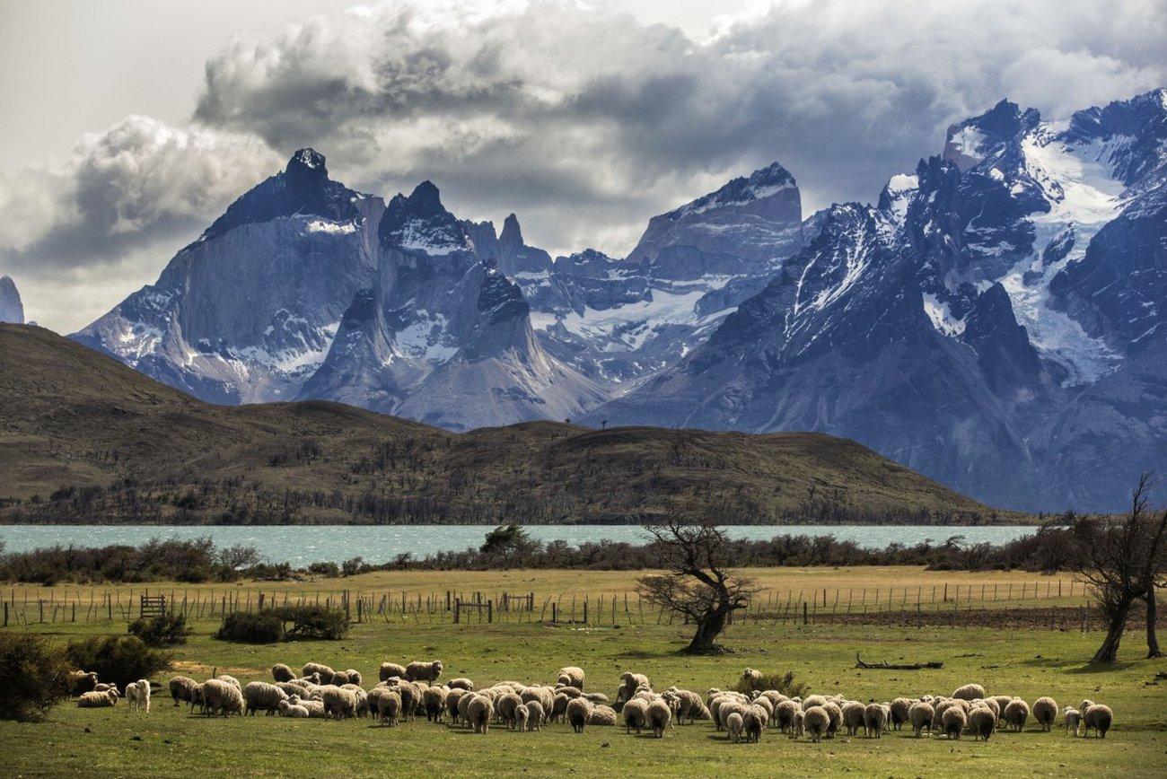 Awasi Patagonia - Relais & Chateaux by Google