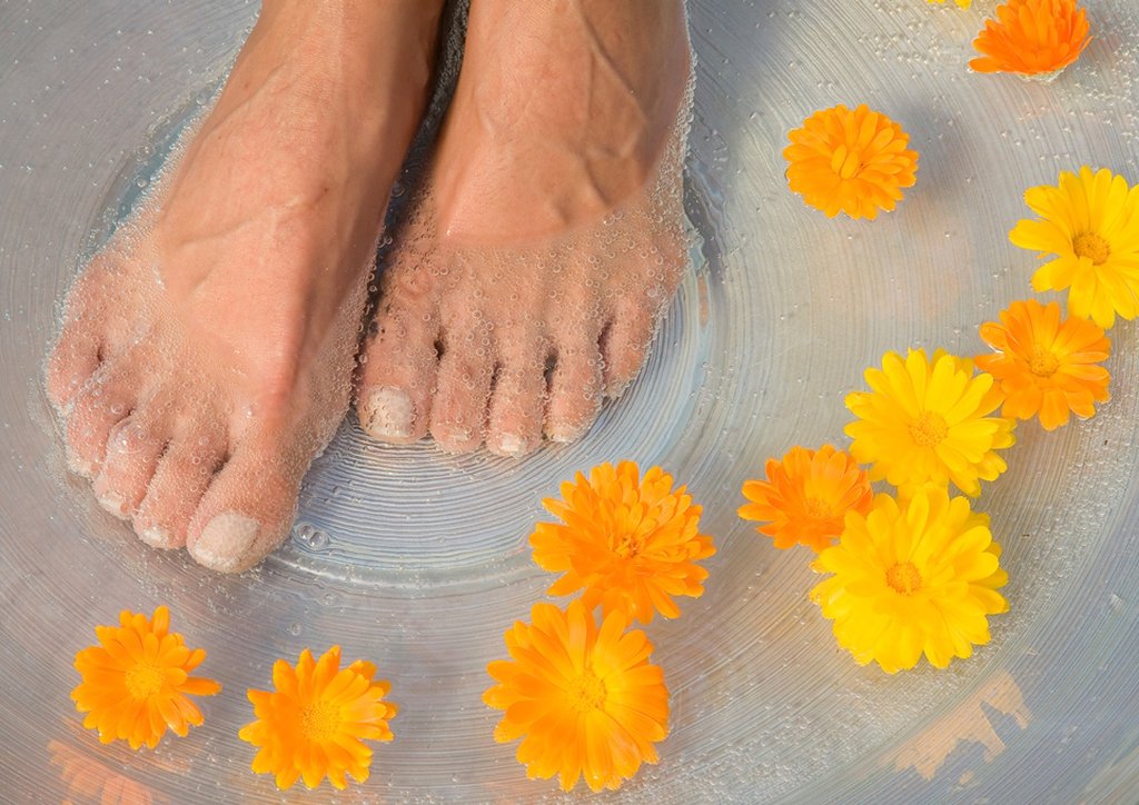 Ringhotel Weisser Hirsch Wernigerode by null