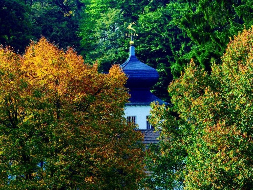 Romantik Hotel Landschloss Fasanerie by null