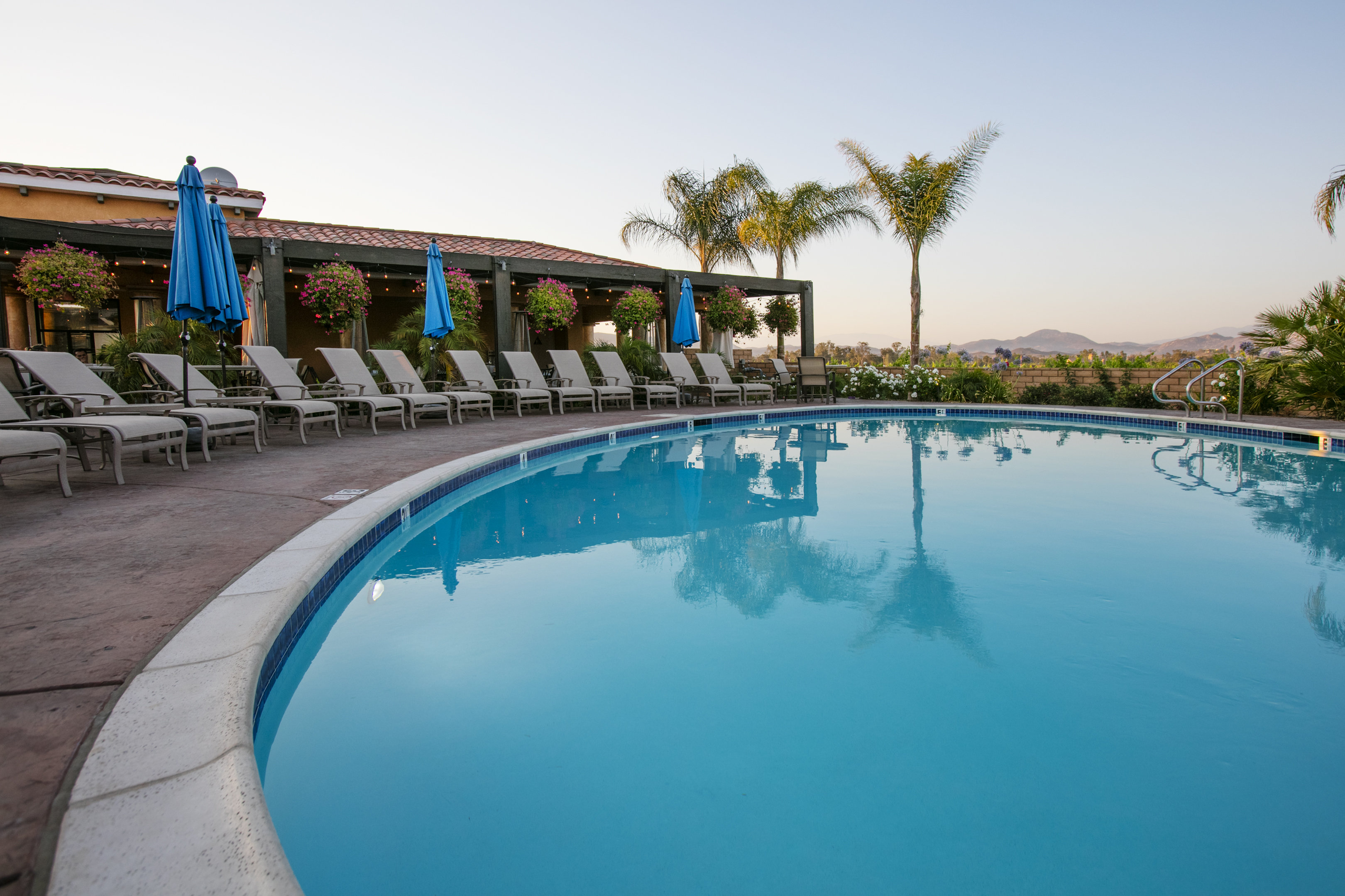 Carter Estate Winery and Resort by null