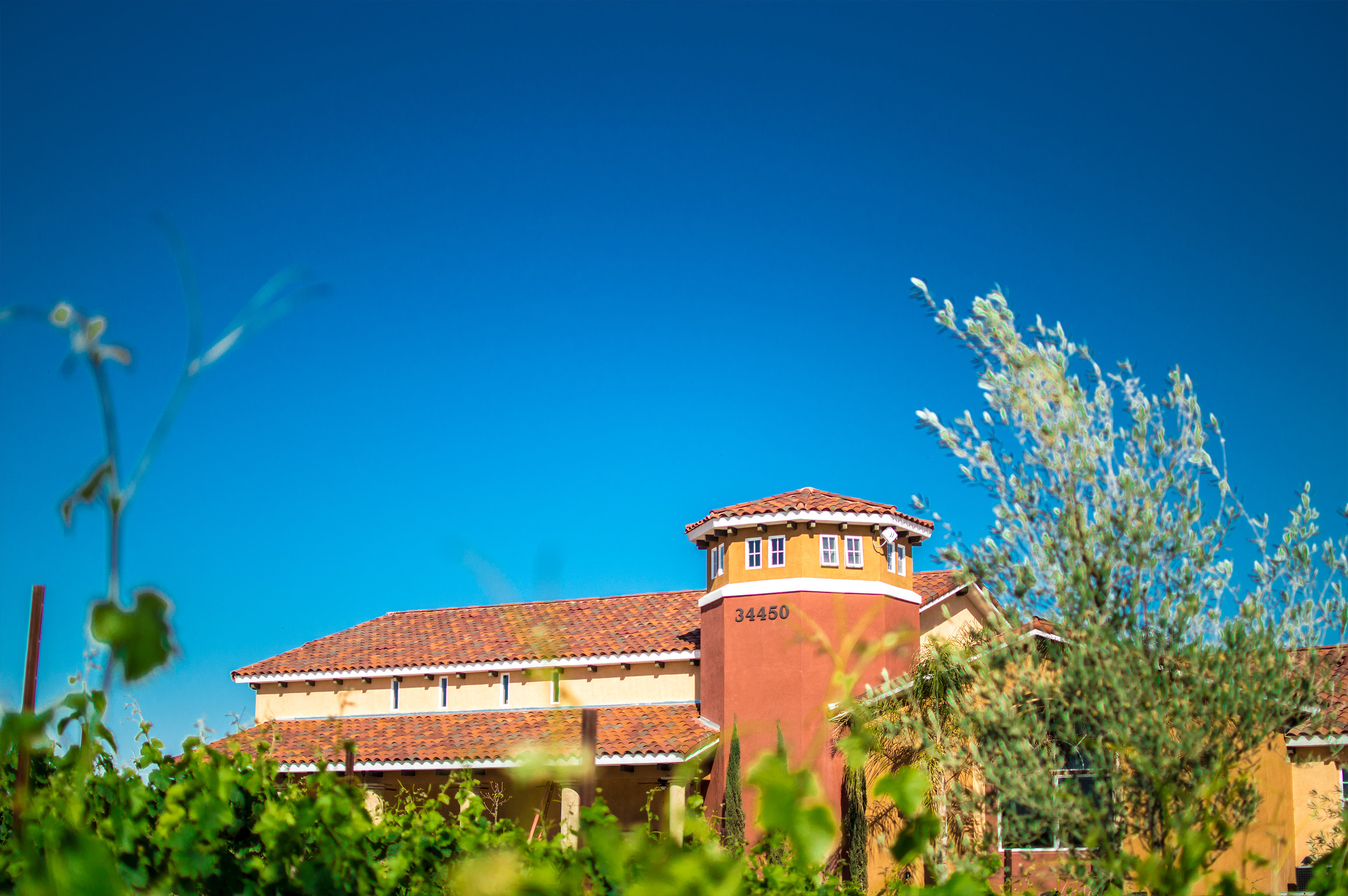 Carter Estate Winery and Resort by null