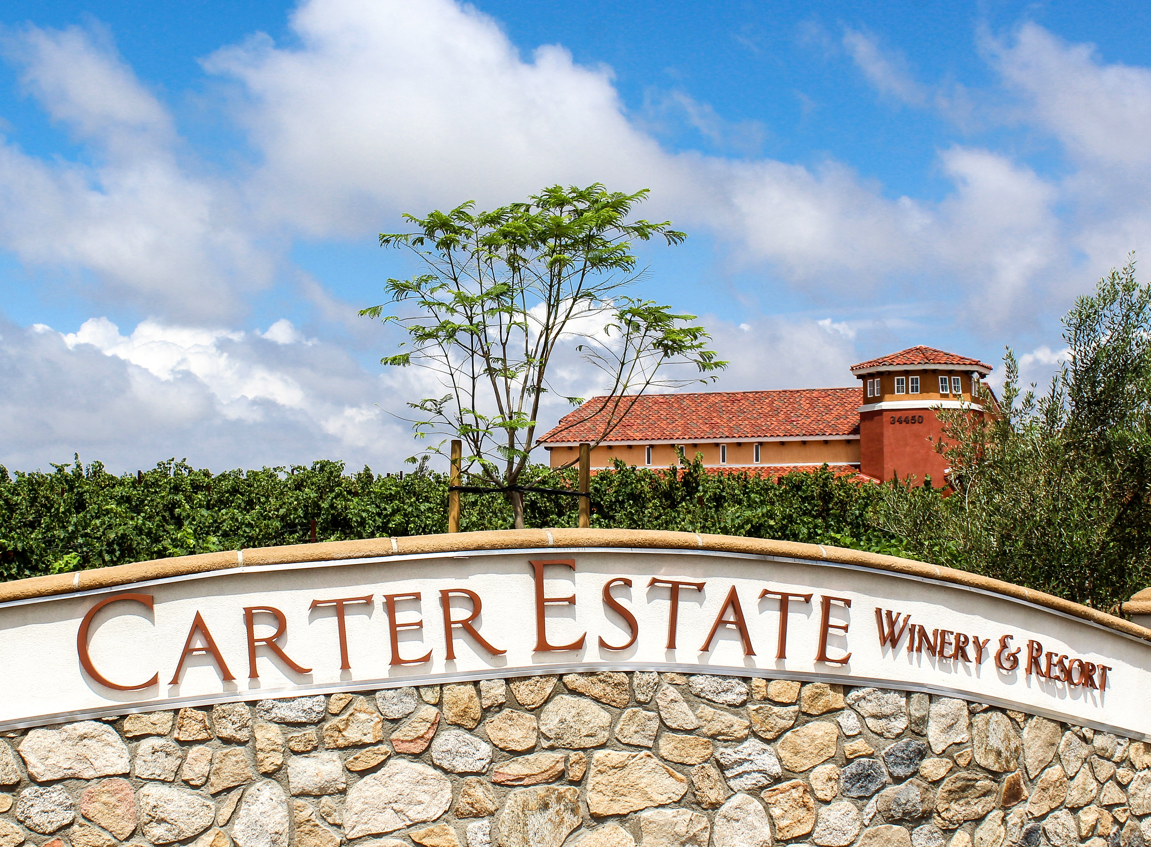 Carter Estate Winery and Resort by null