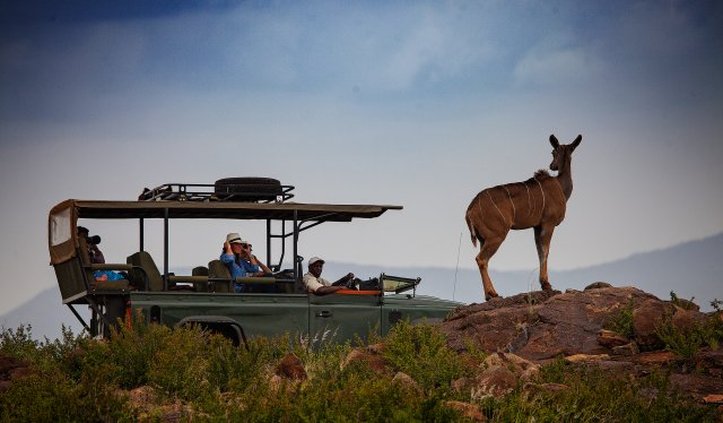 Loisaba Tented Camp by Elewana by null