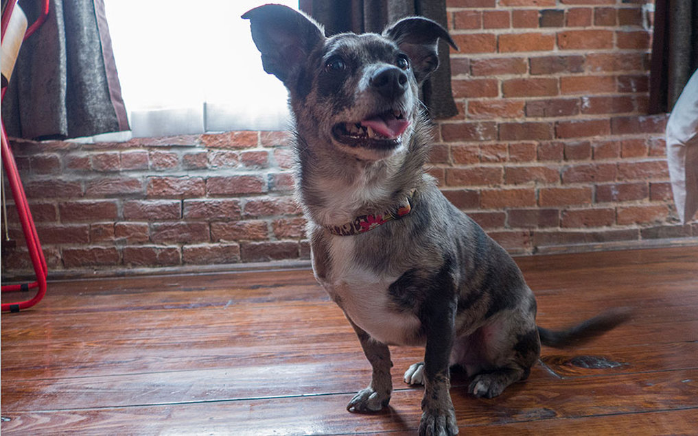 The Old No. 77 Hotel & Chandlery by null