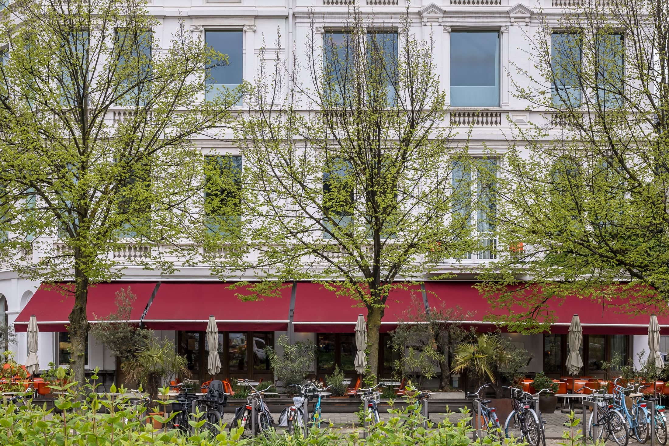 Hotel Pilar by null
