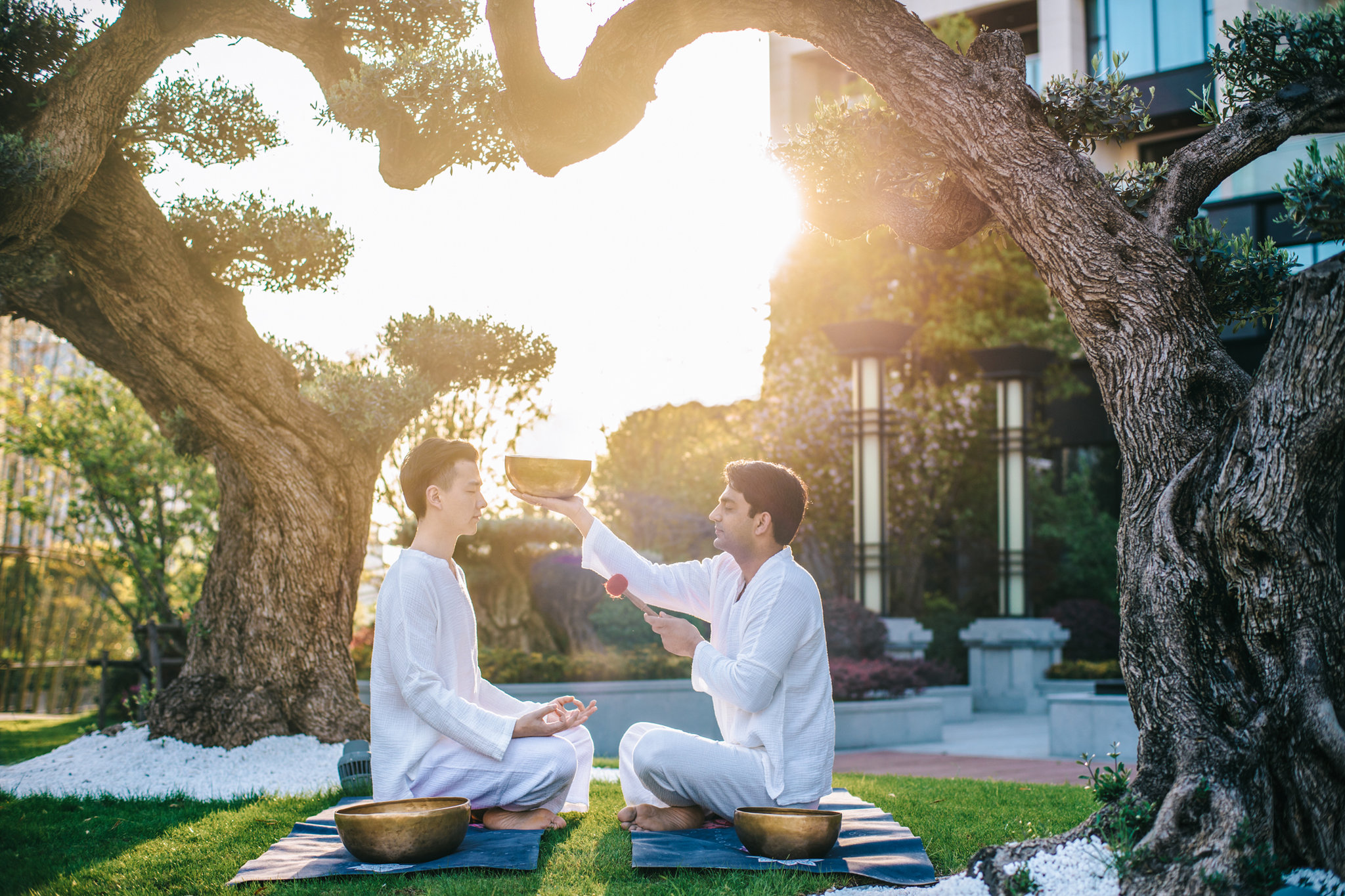 The Anandi Hotel and SPA by null