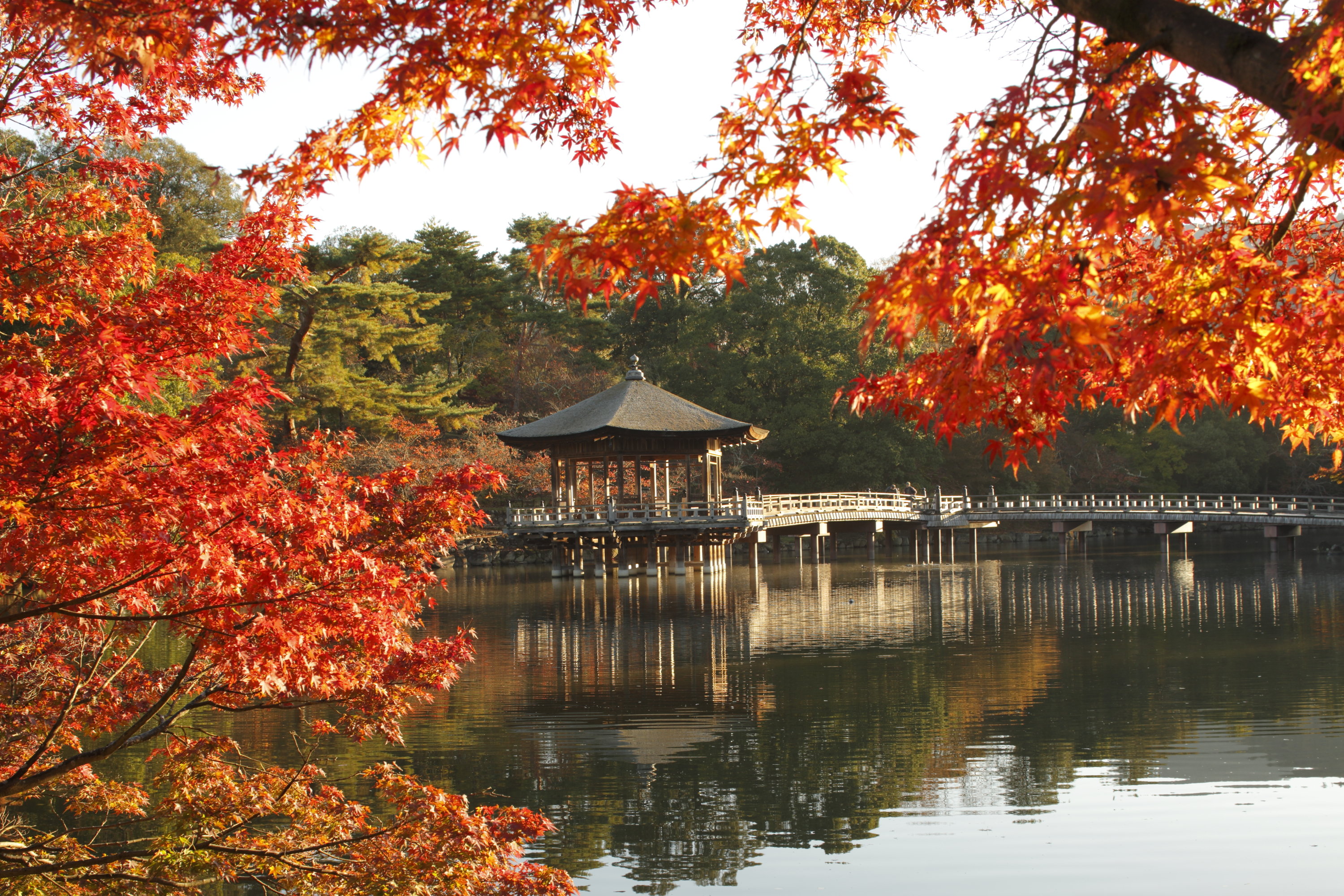 Noborioji Hotel Nara by null