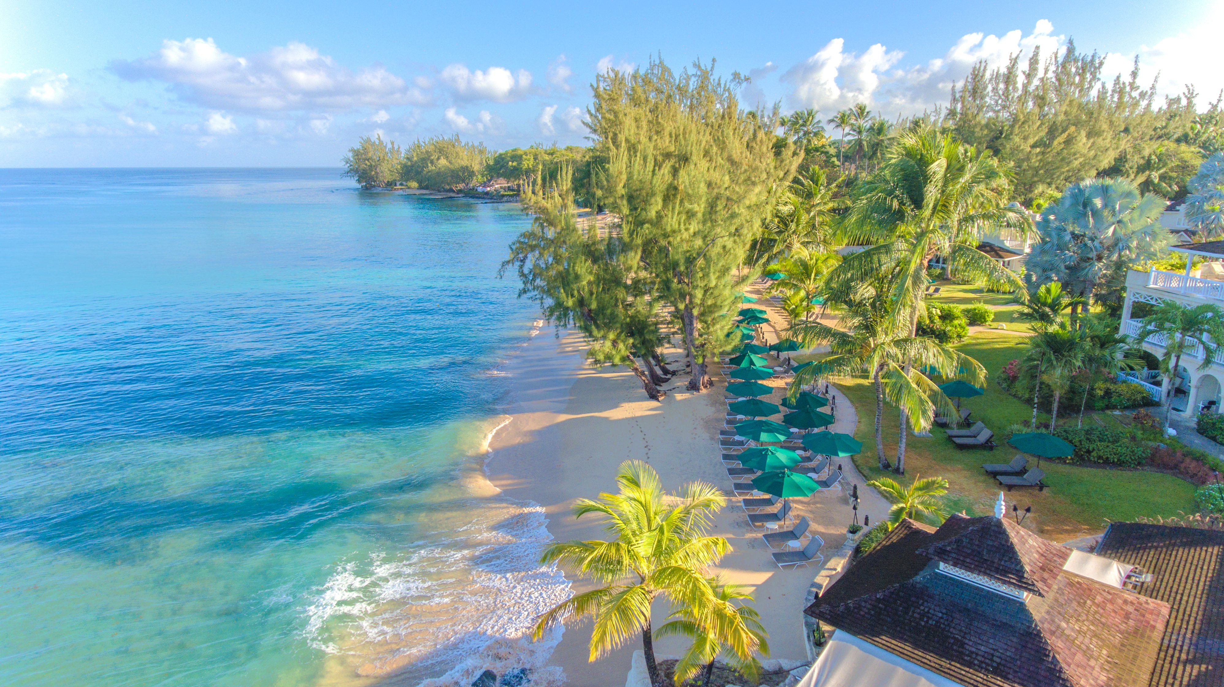 Coral Reef Club by null