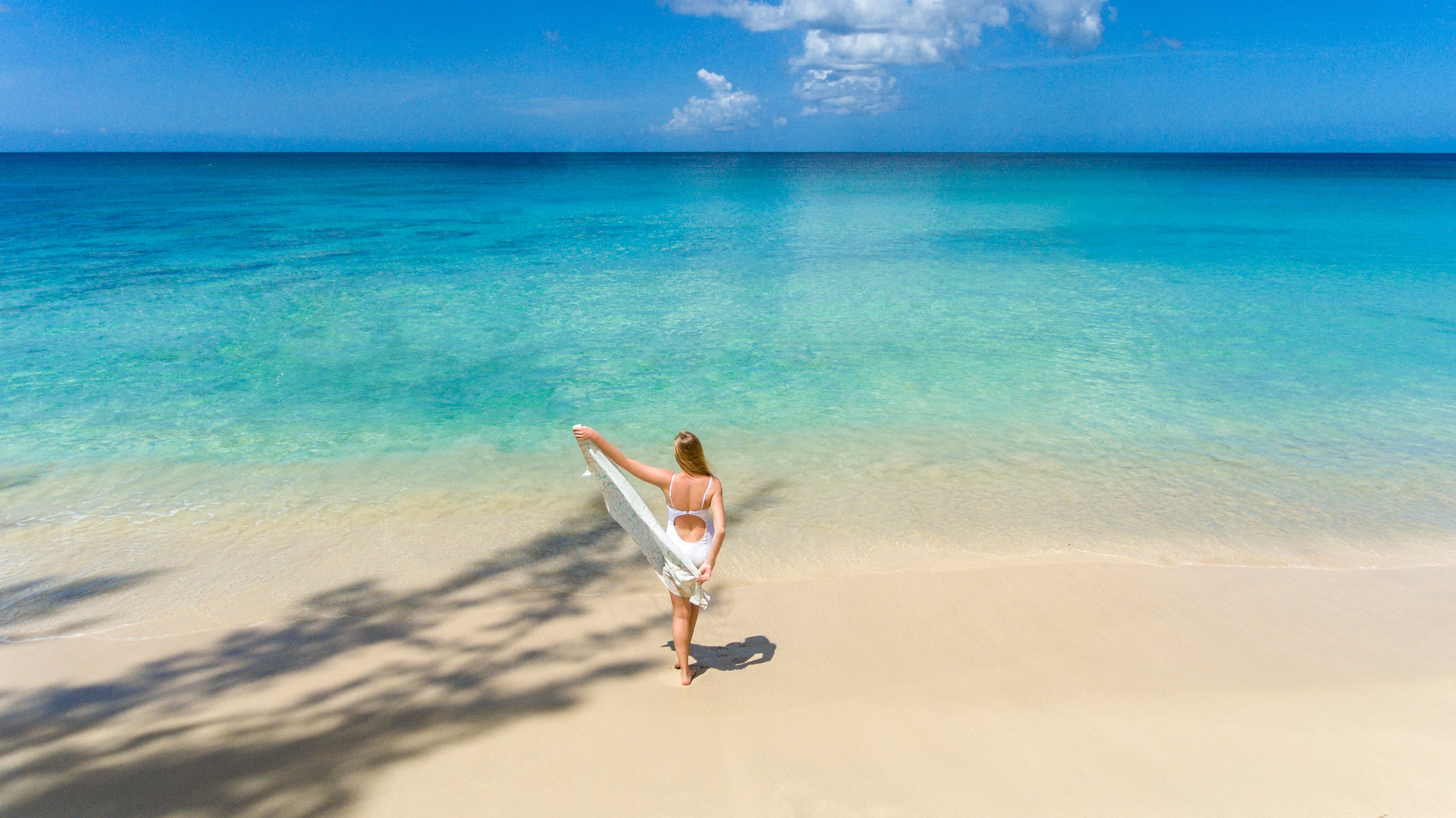 Coral Reef Club by null