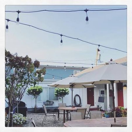 Daunt's Albatross Motel by null
