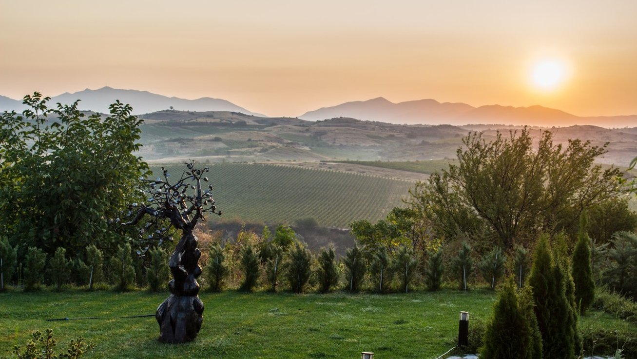 Zornitza Family Estate by null
