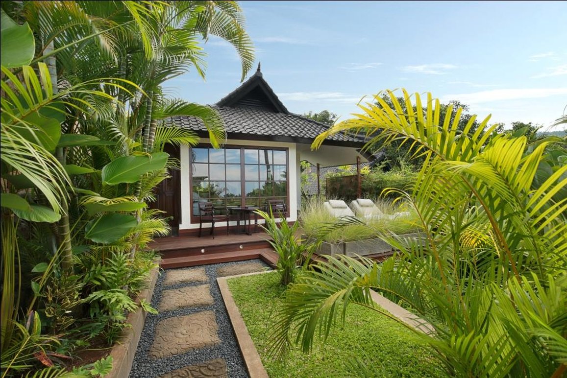 The Damai by null