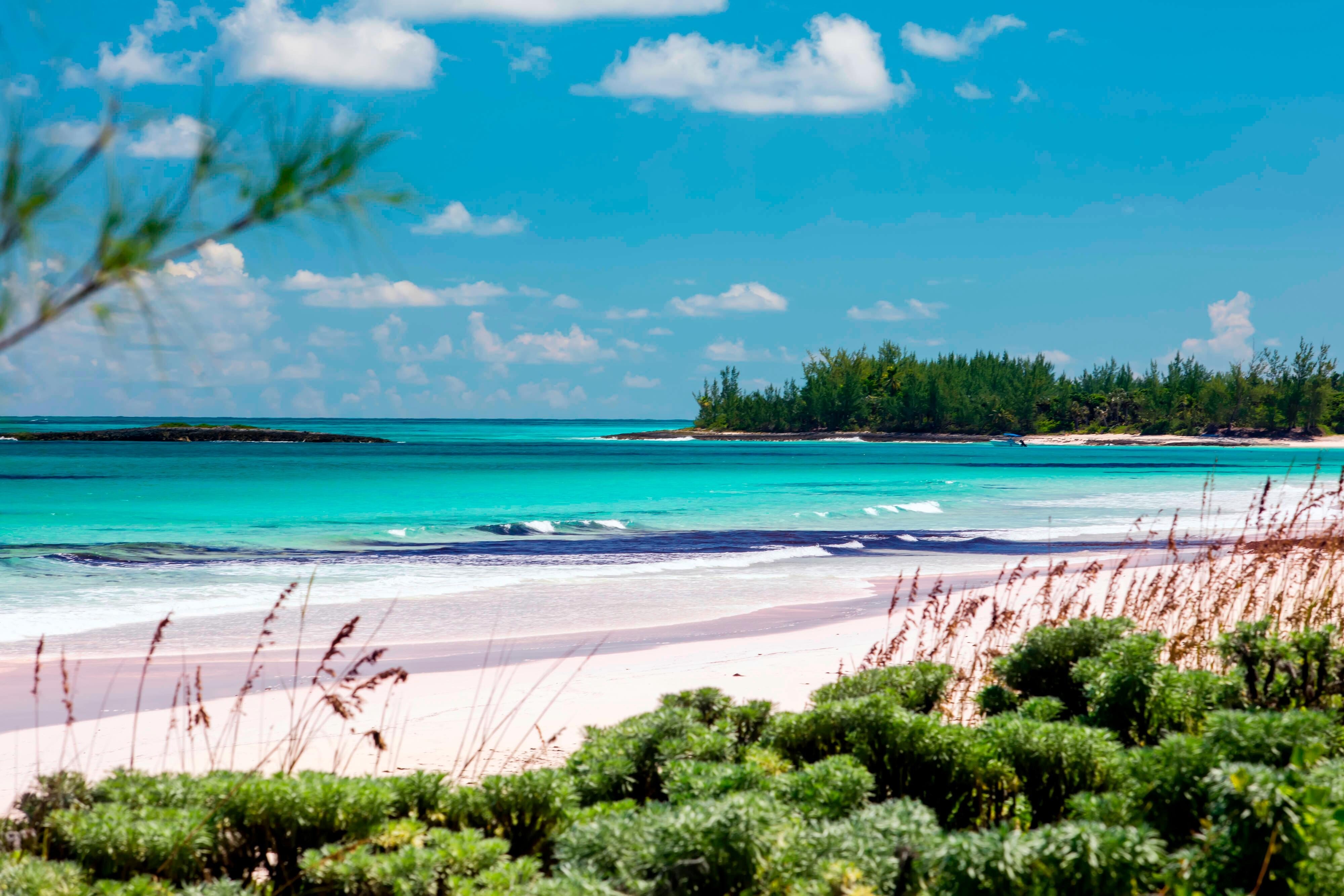 French Leave Resort, Autograph Collection by null