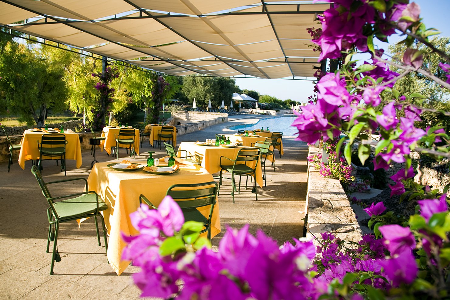 Hotel Masseria San Domenico by null