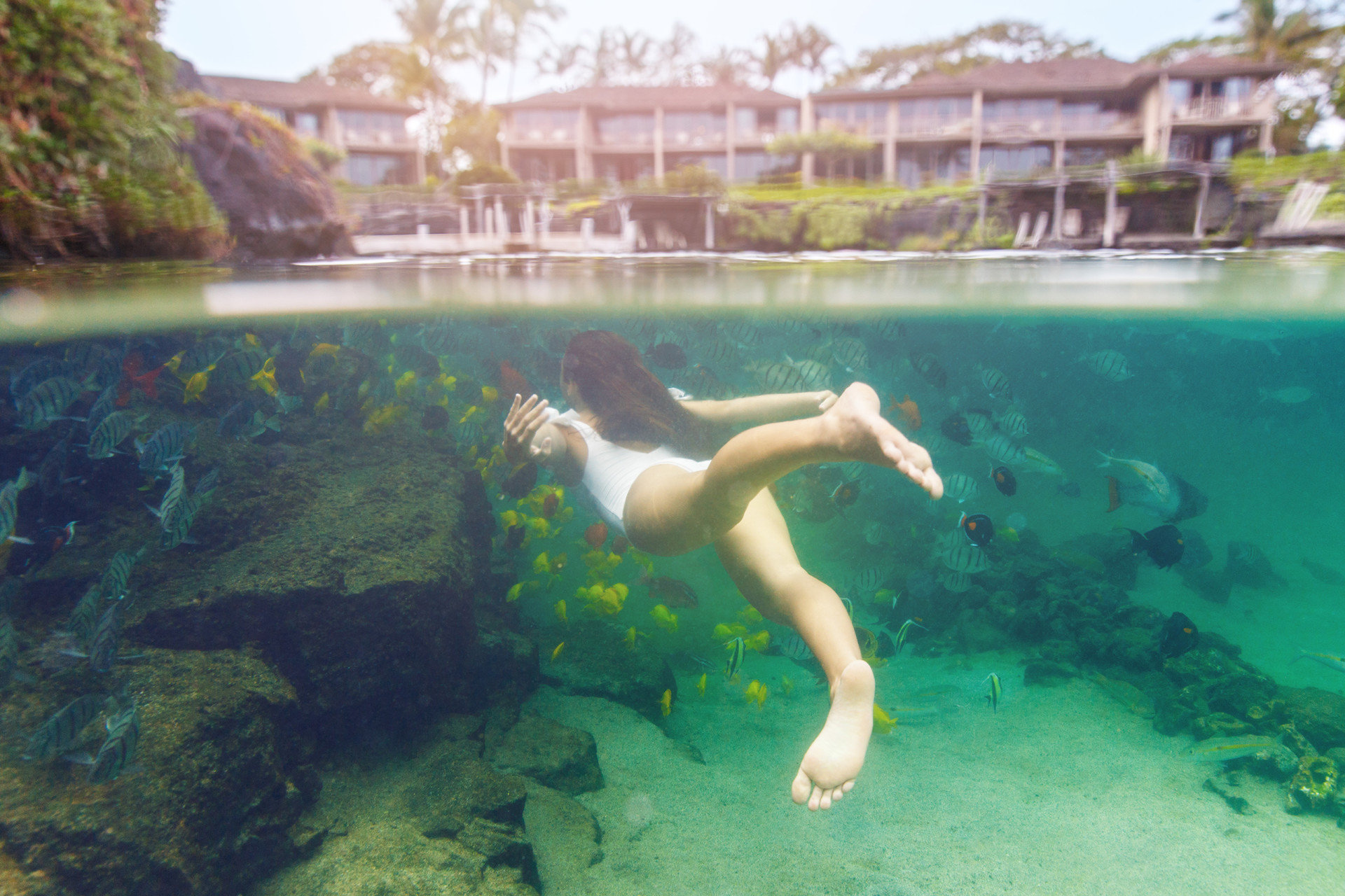 Four Seasons Resort Hualalai by null