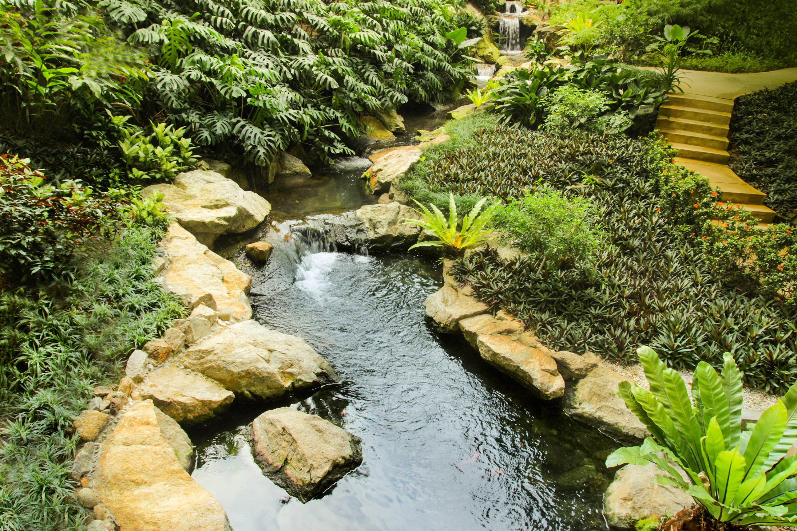 Equatorial Penang by null