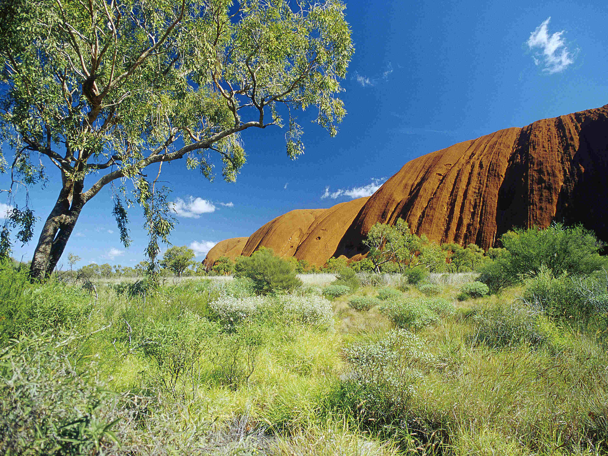 The Lost Camel Hotel - Ayers Rock Resort by null