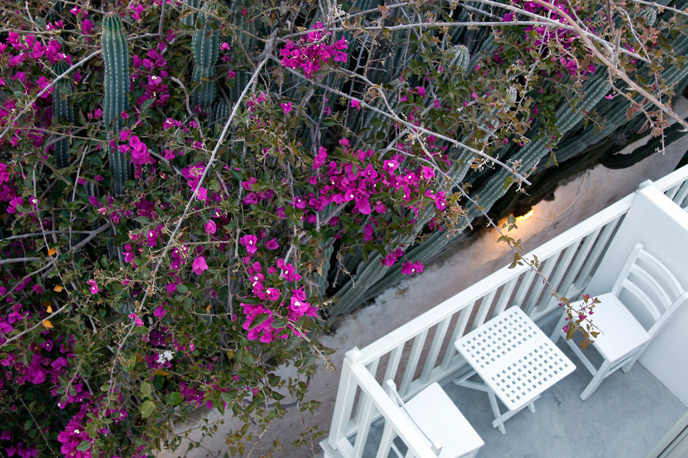 Fresh Boutique Hotel Mykonos by null