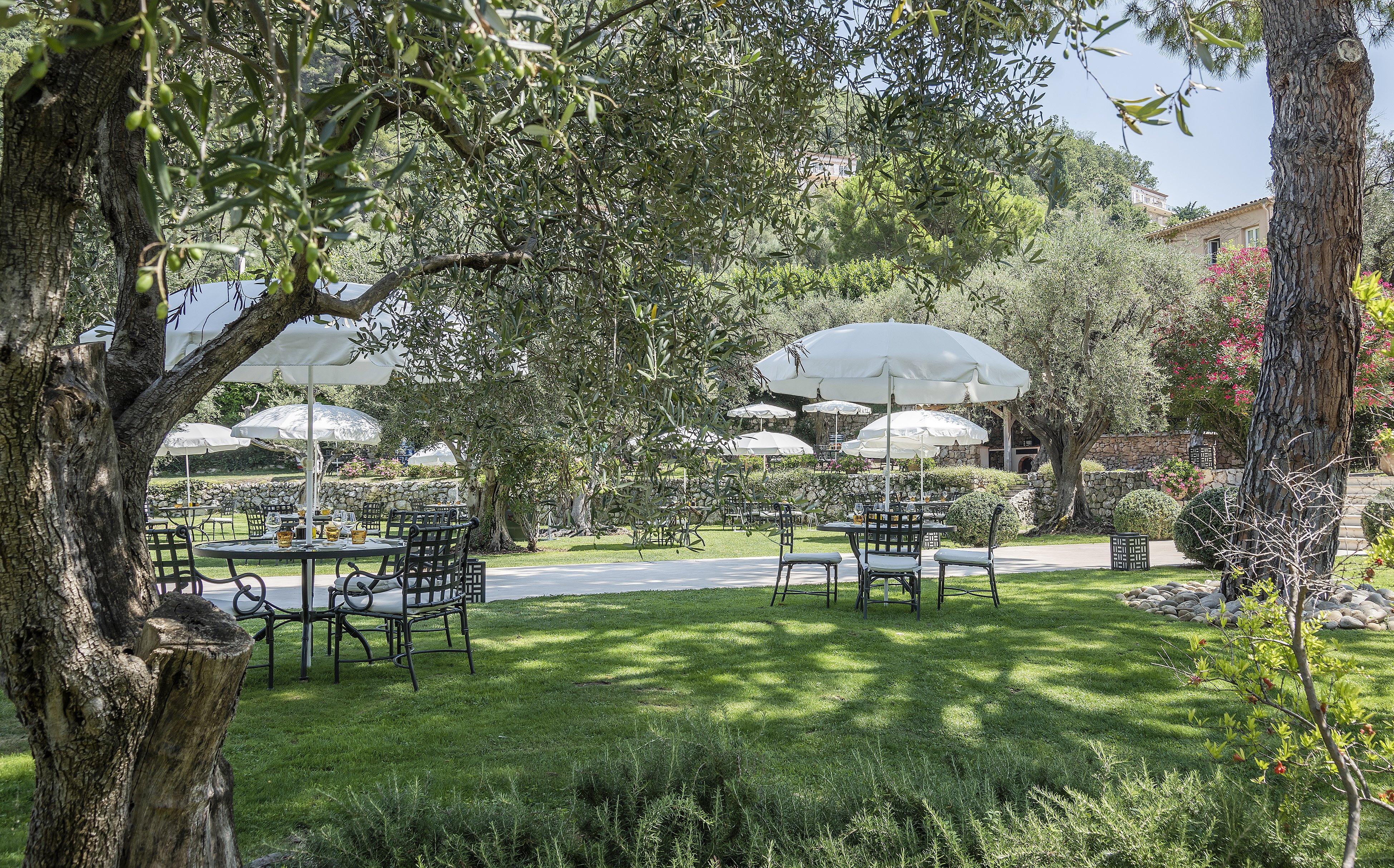 Château Saint-Martin & Spa by null