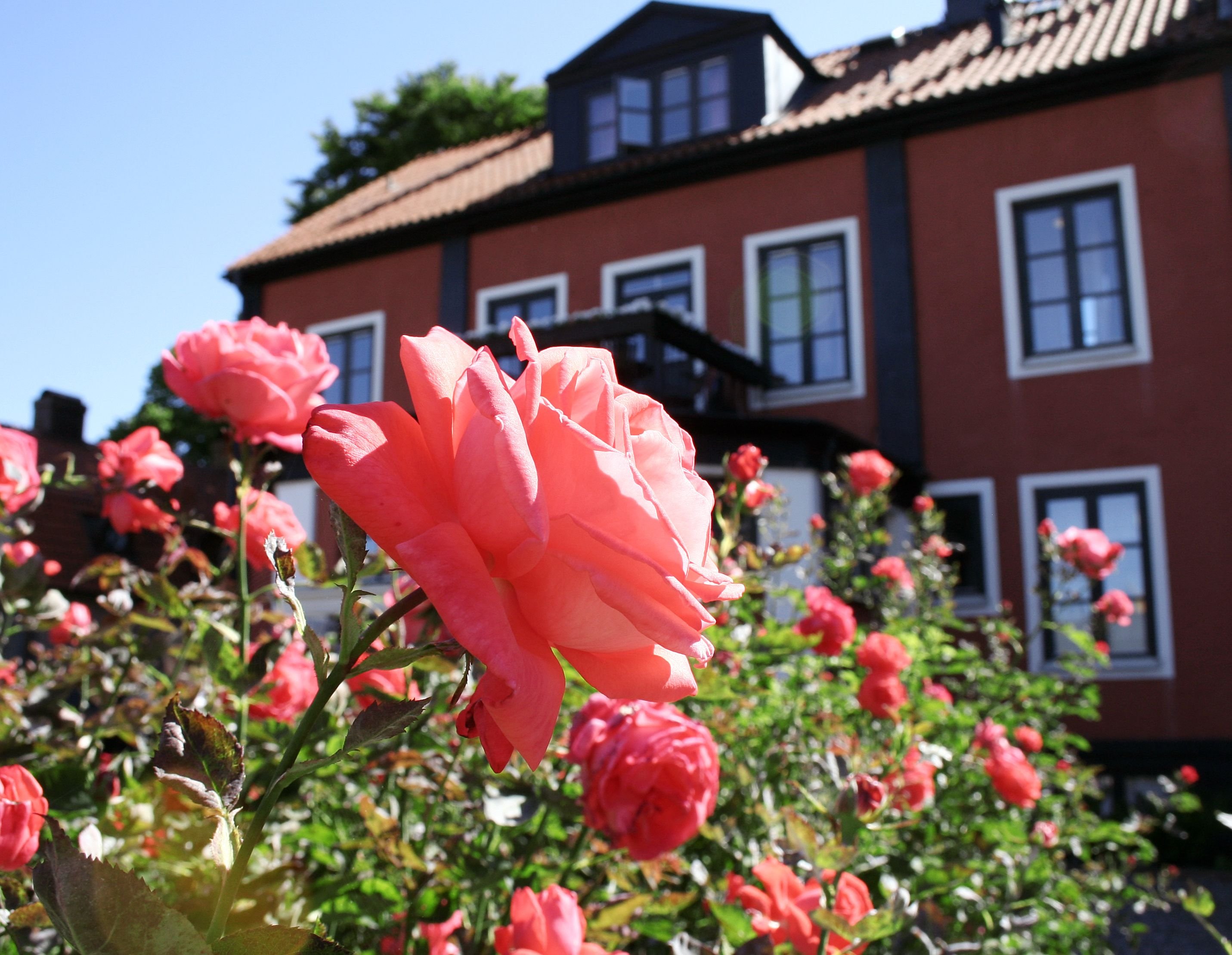 Slottshotellet Kalmar by null