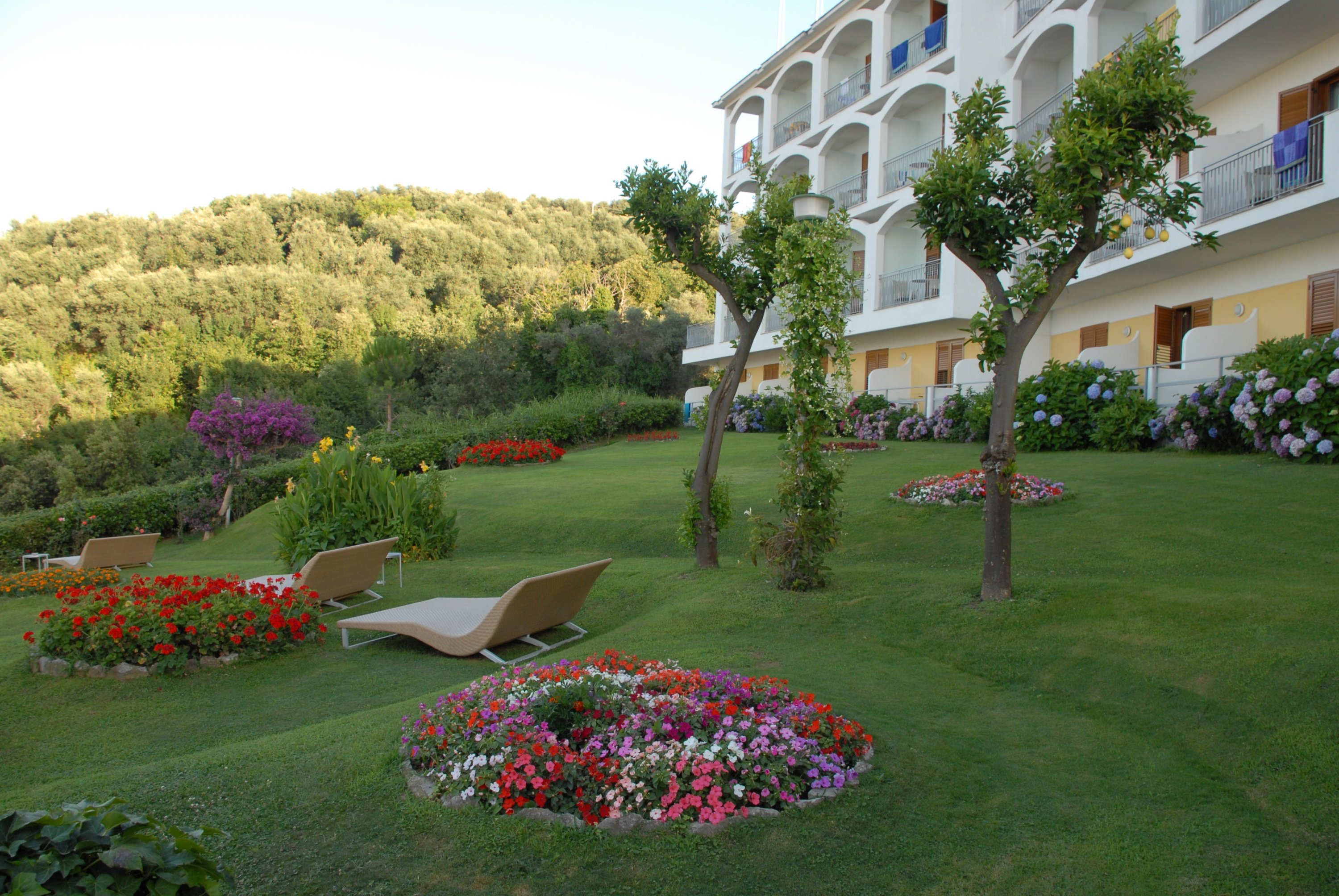 Grand Hotel President by null