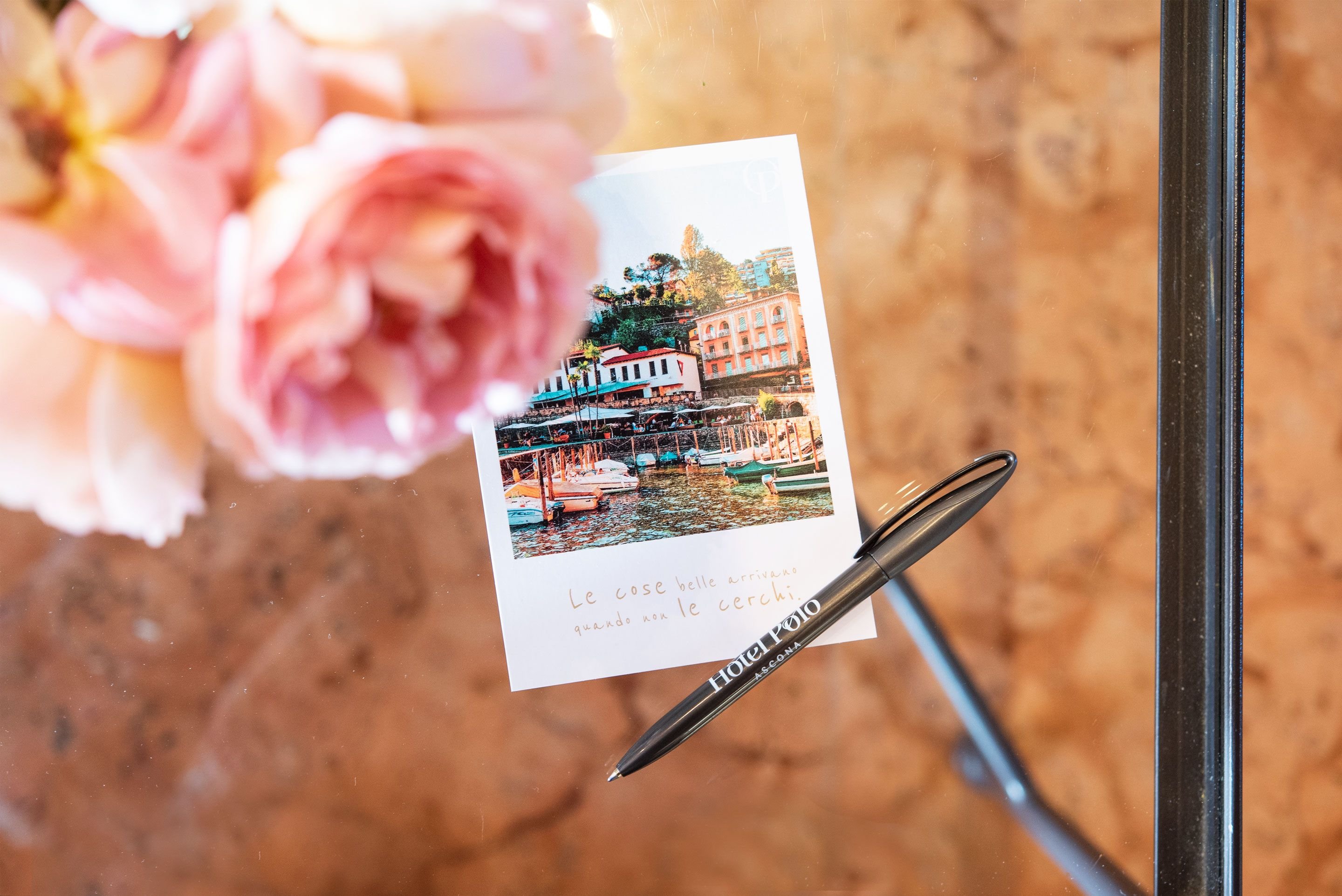 Hotel Polo by null
