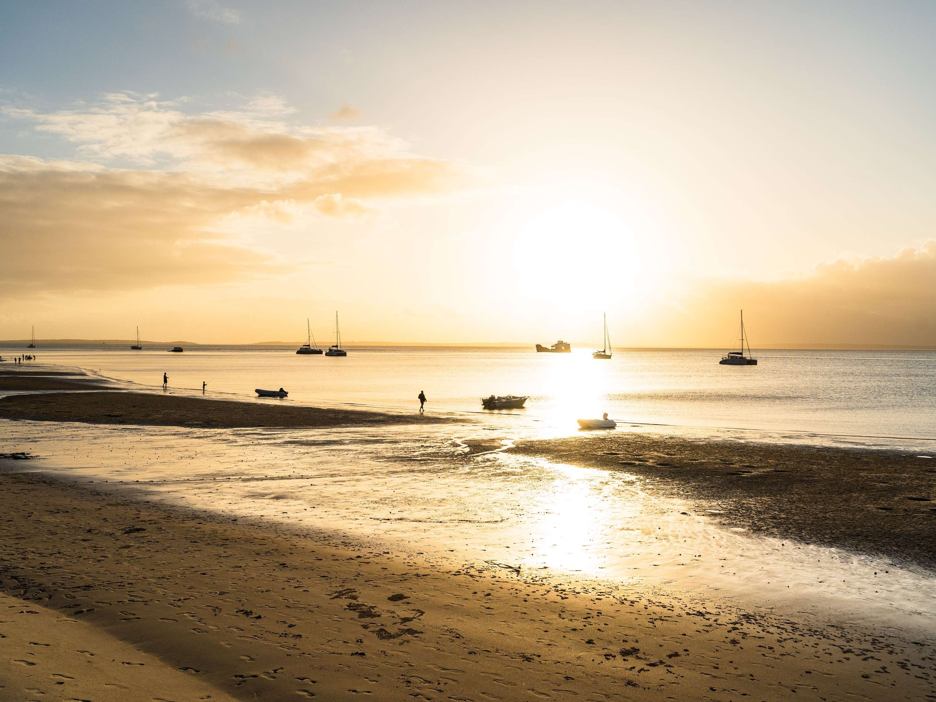 Kingfisher Bay Resort by null