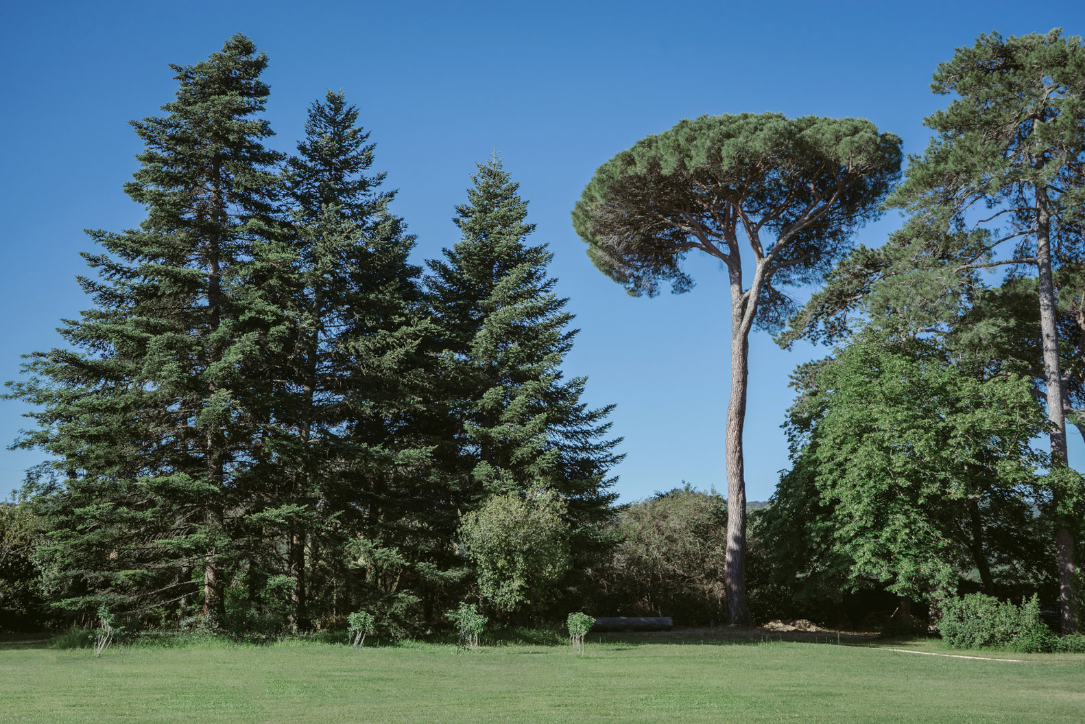 Château De Montcaud by null