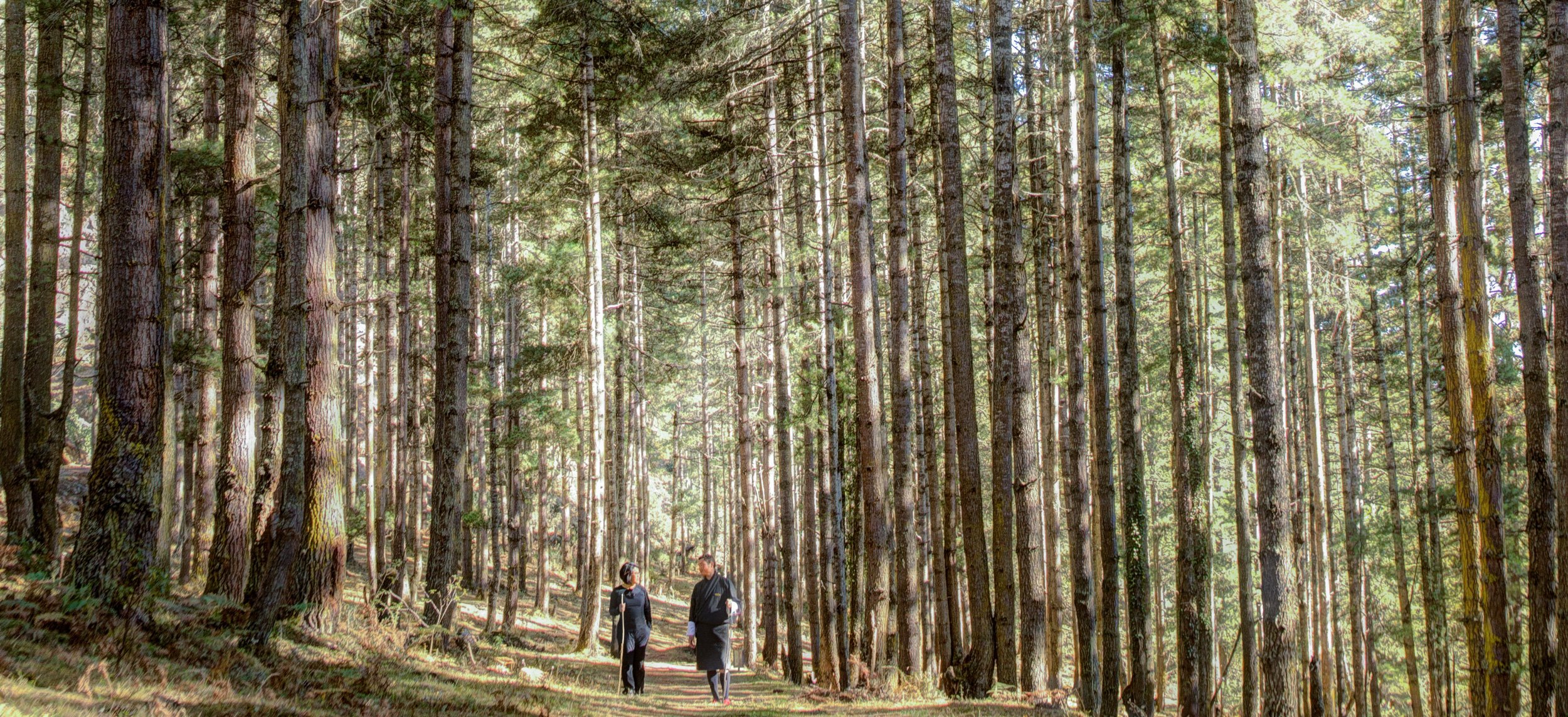 Gangtey Lodge Bhutan by null