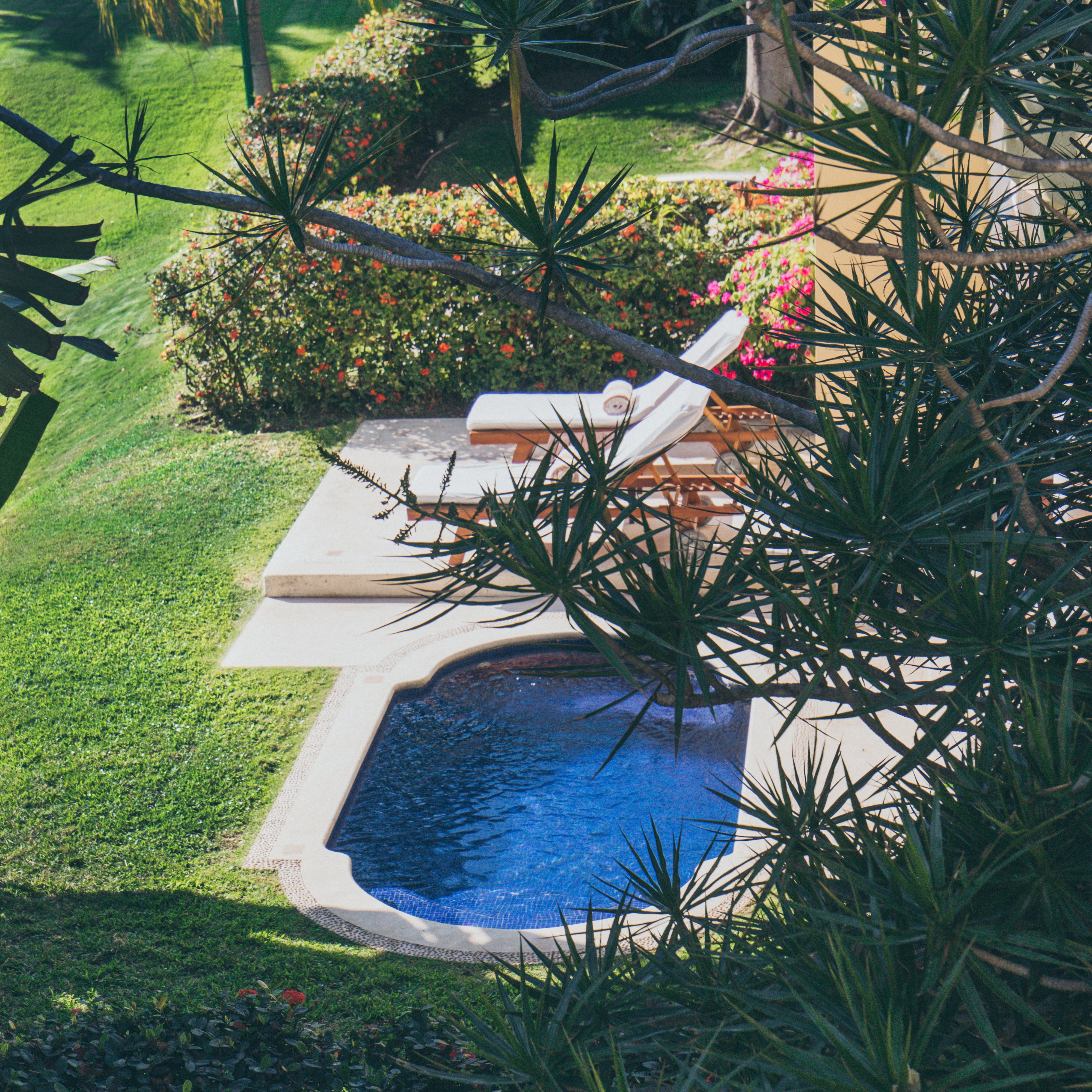 Casa Velas by null