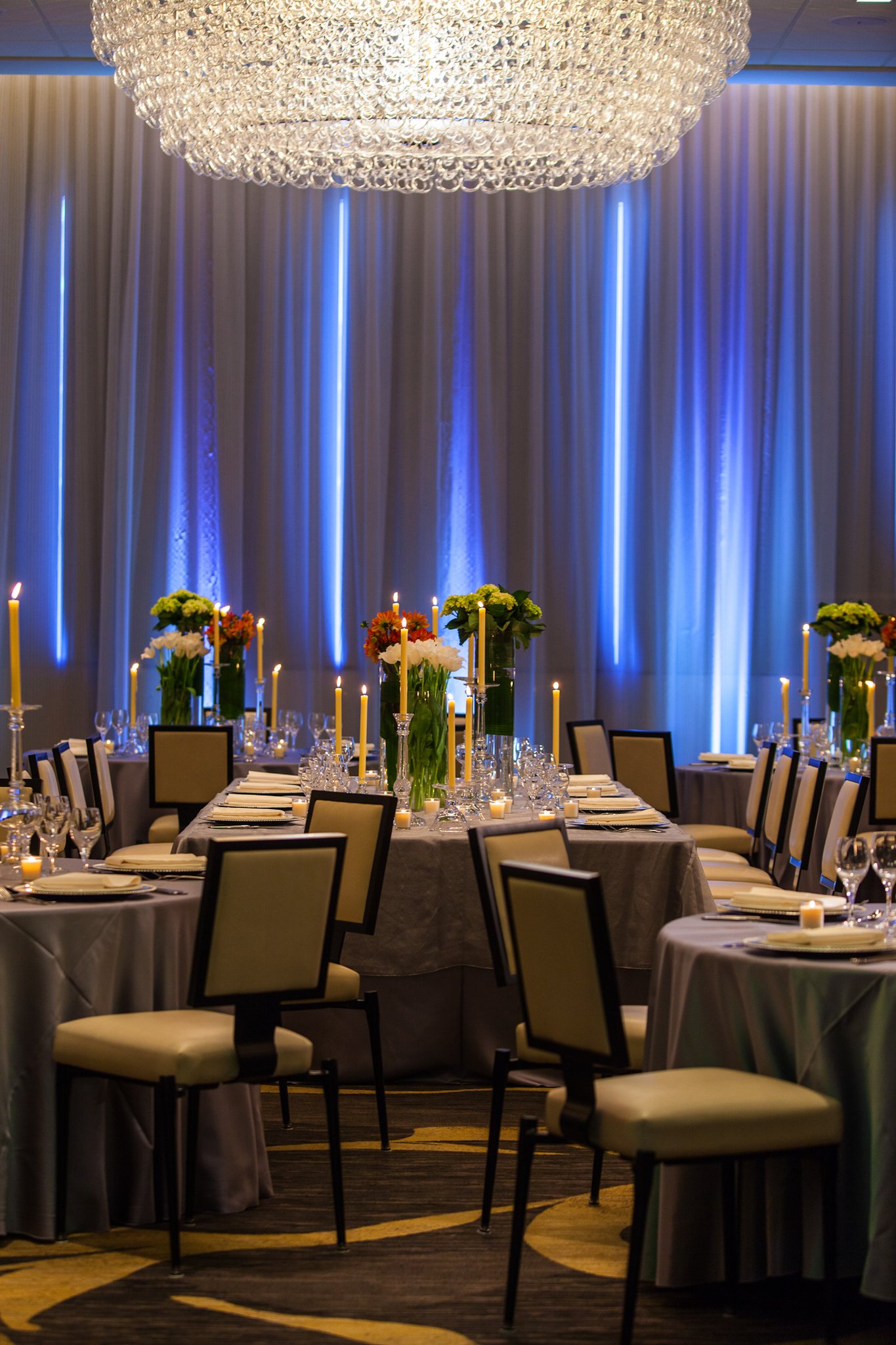 Kimpton Hotel Palomar Phoenix by null