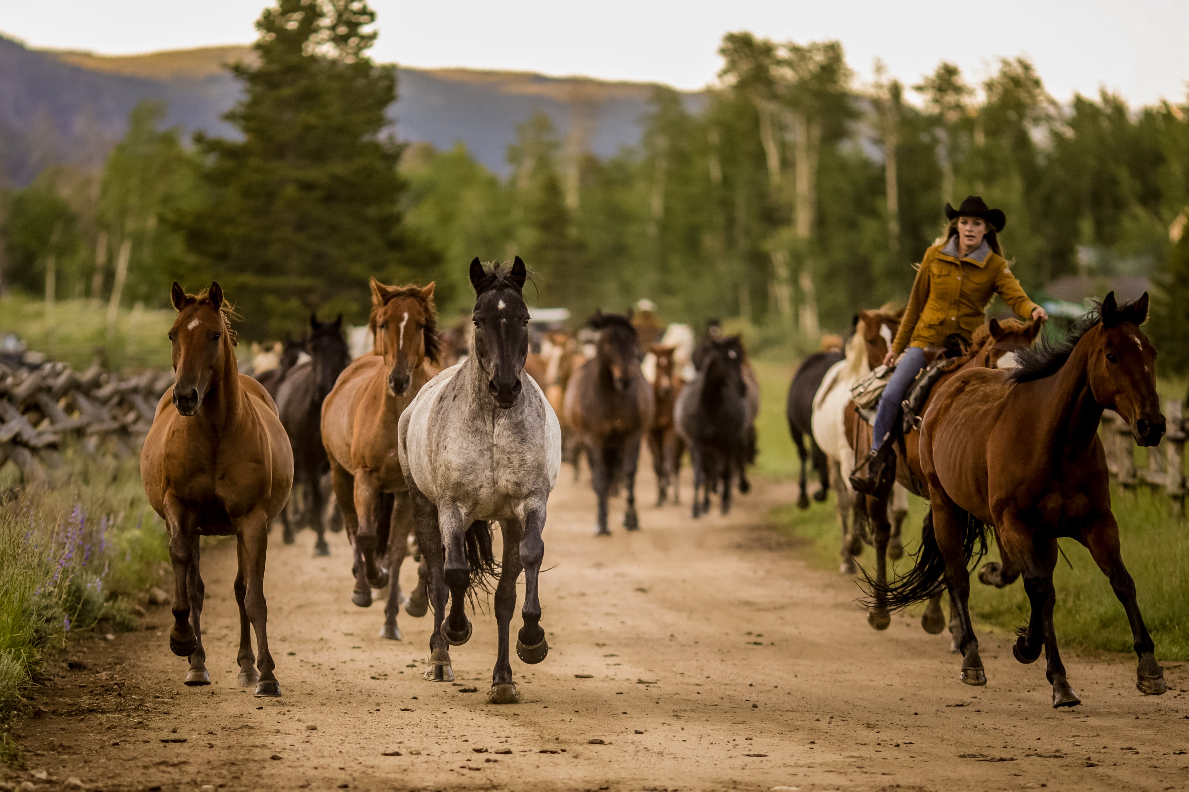 Rawah Guest Ranch by null