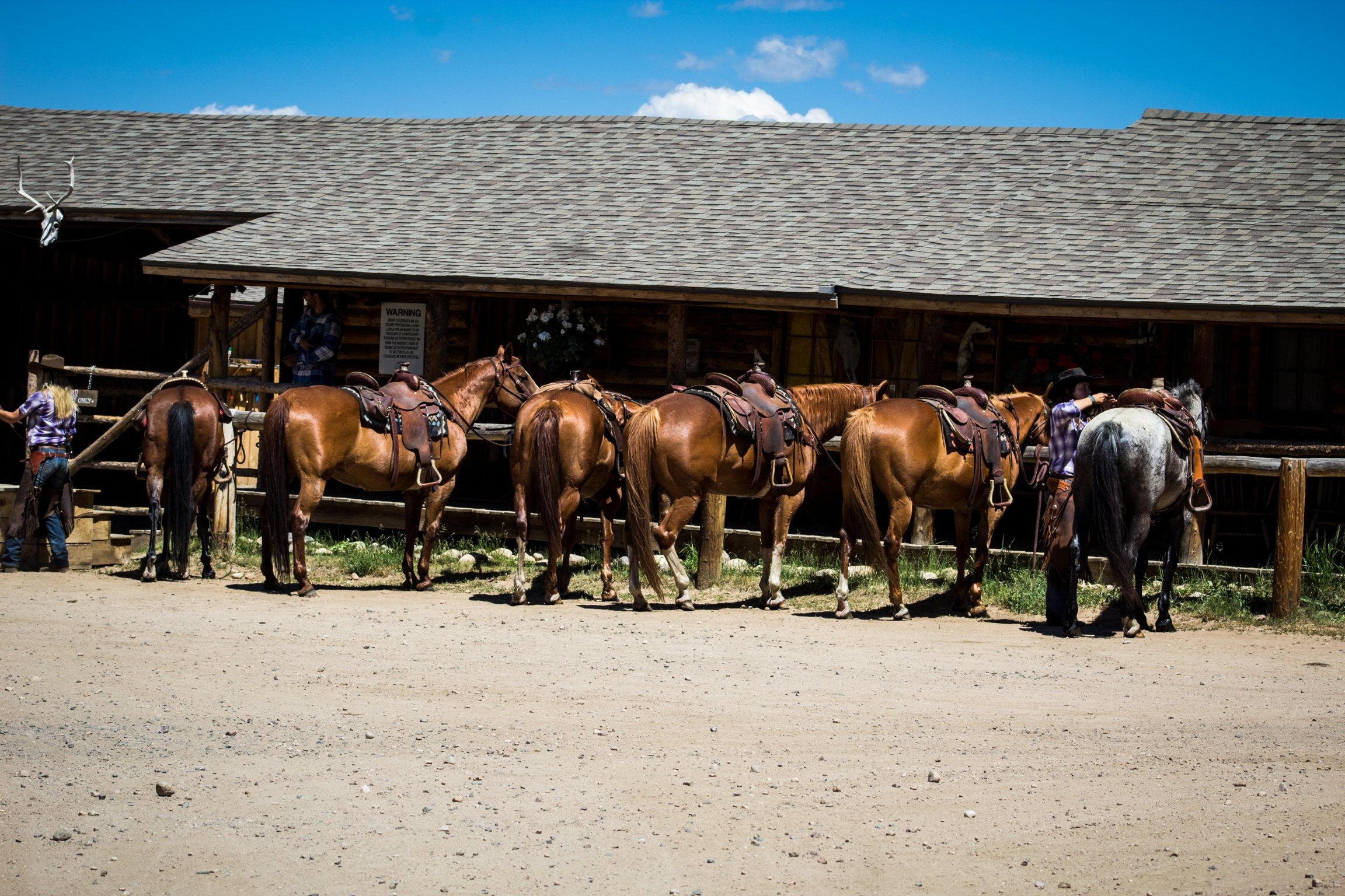 Rawah Guest Ranch by null