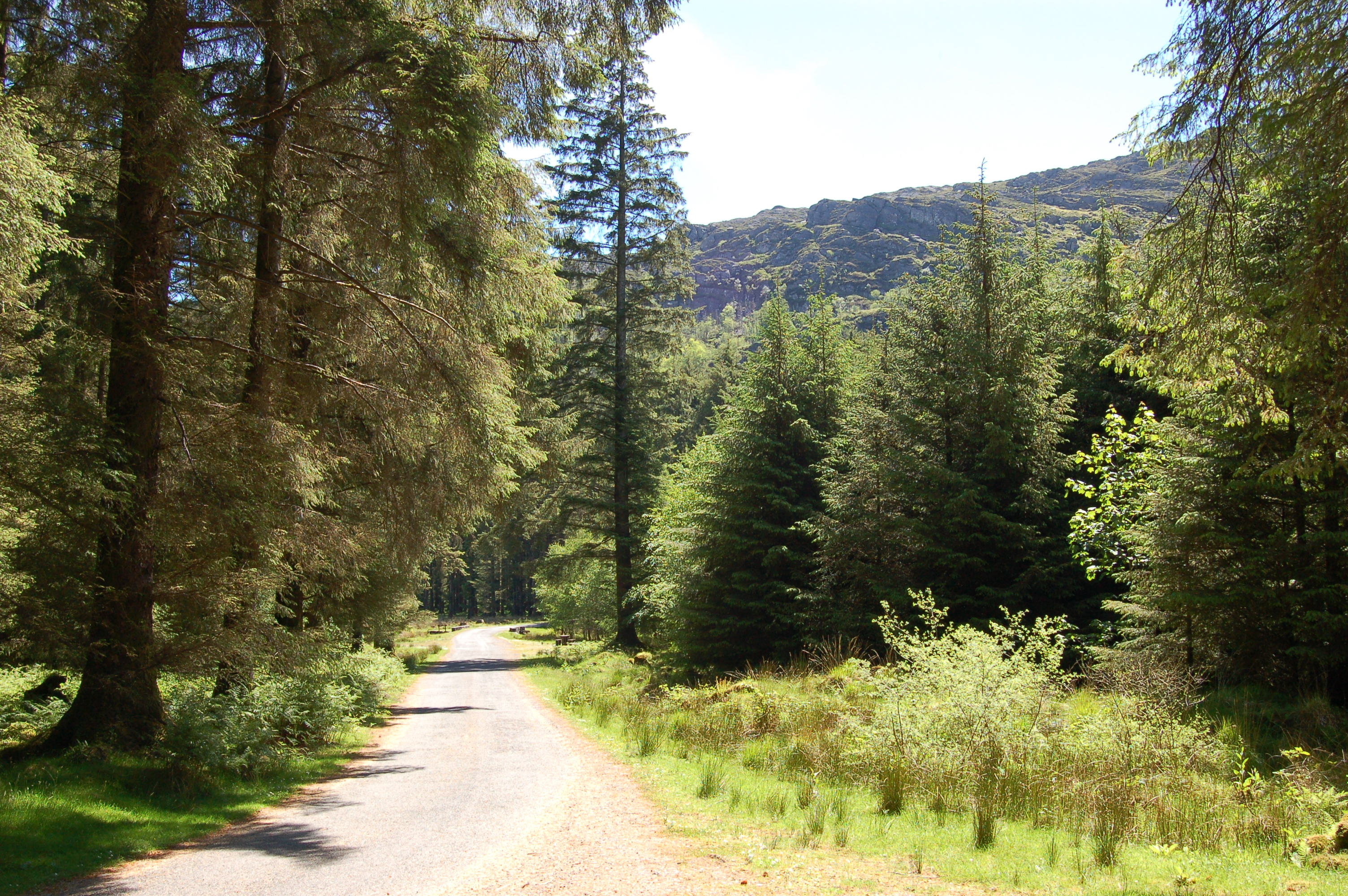 Gougane Barra Hotel by null