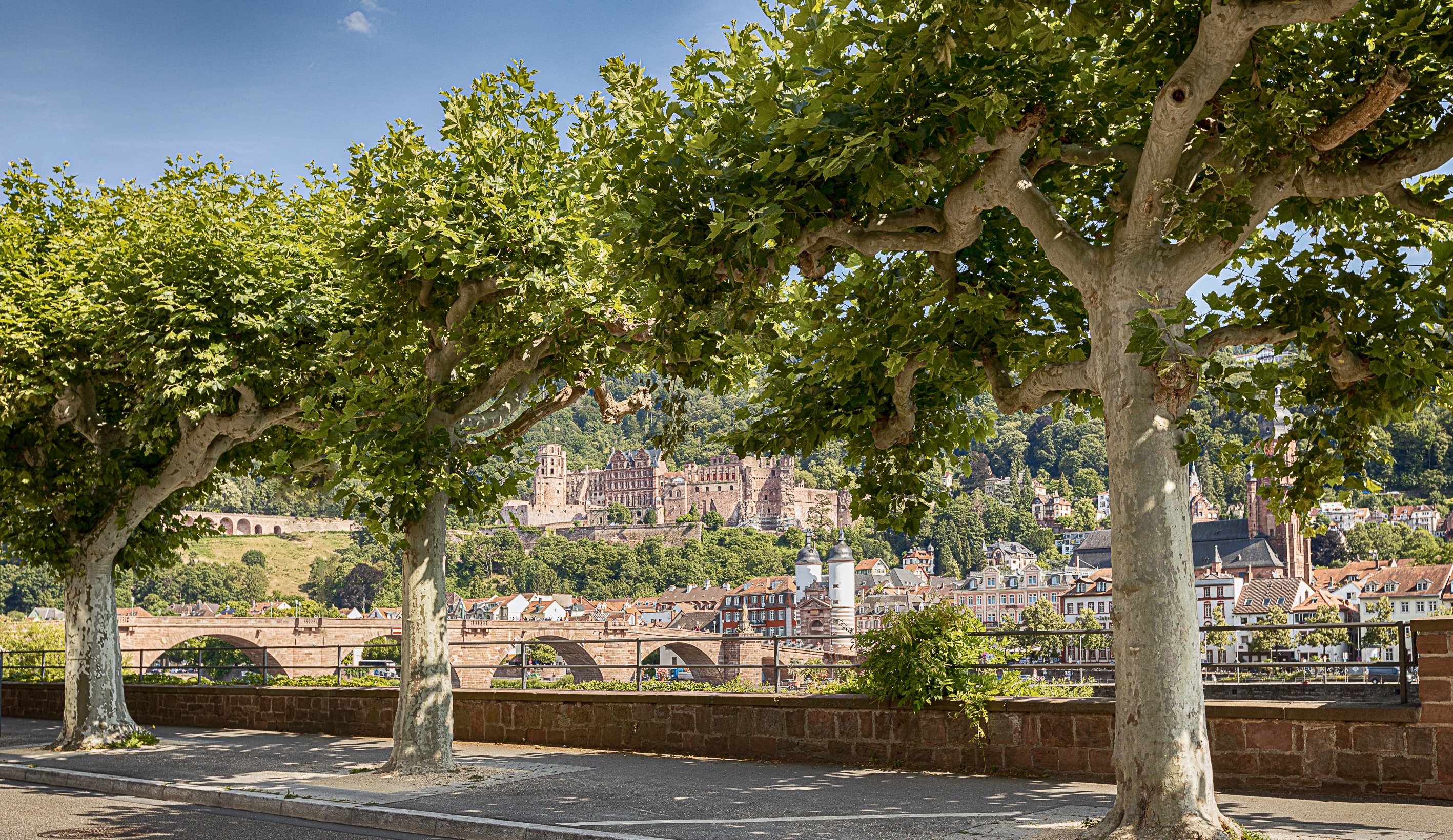 House of Hütter | Heidelberg Suites by null