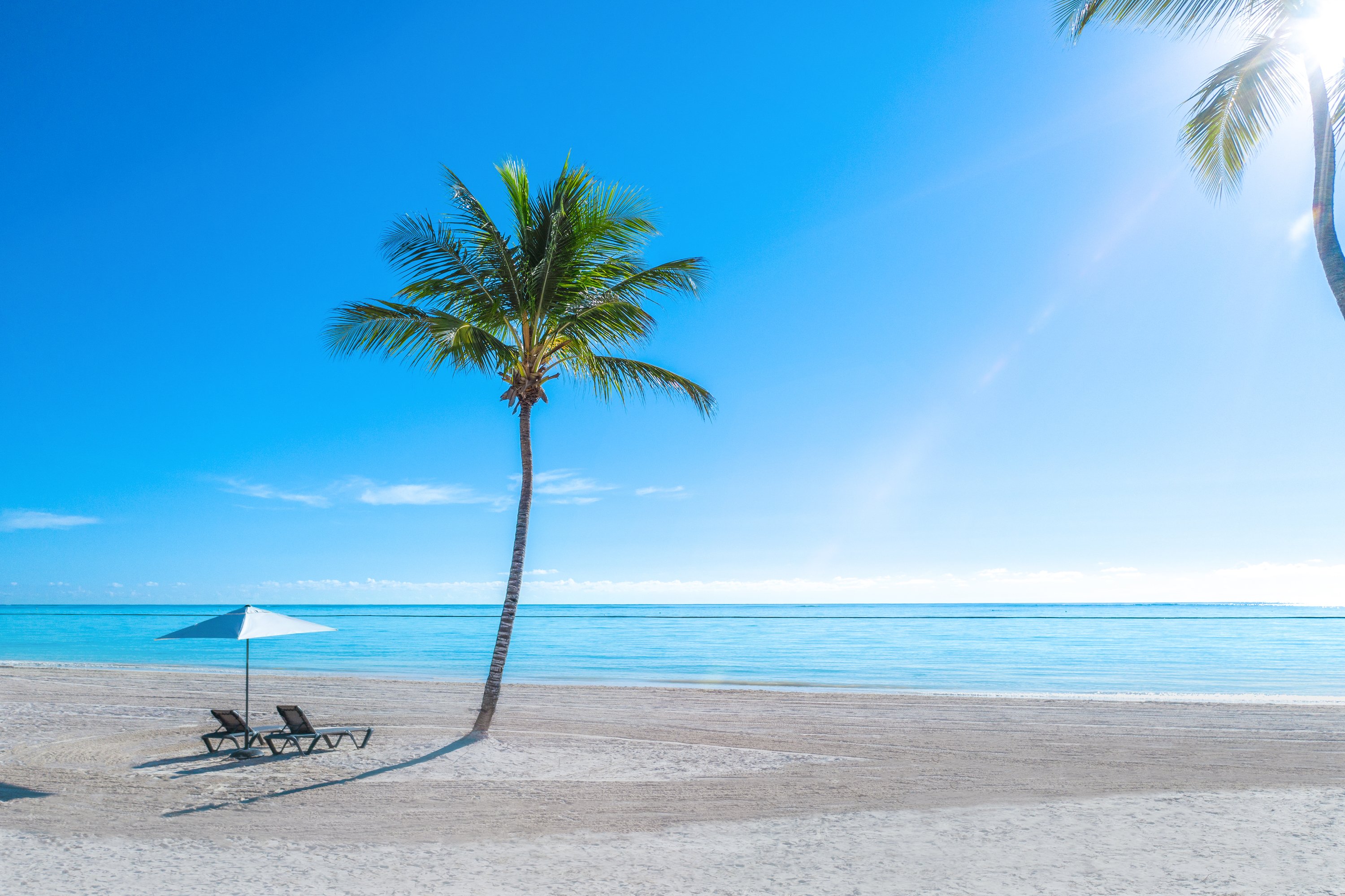 Hyatt Zilara Cap Cana by null