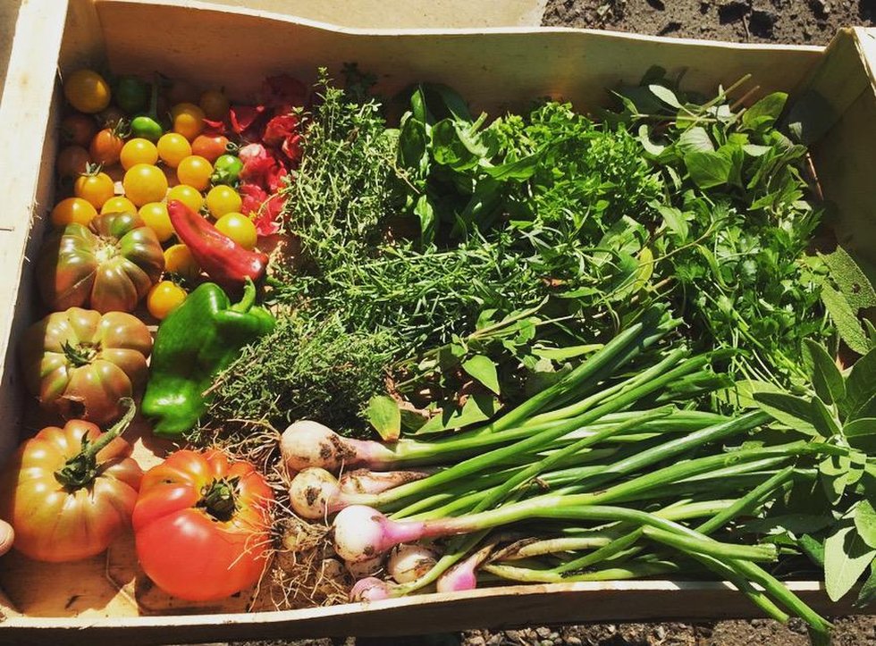 Hôtel Misincu by null