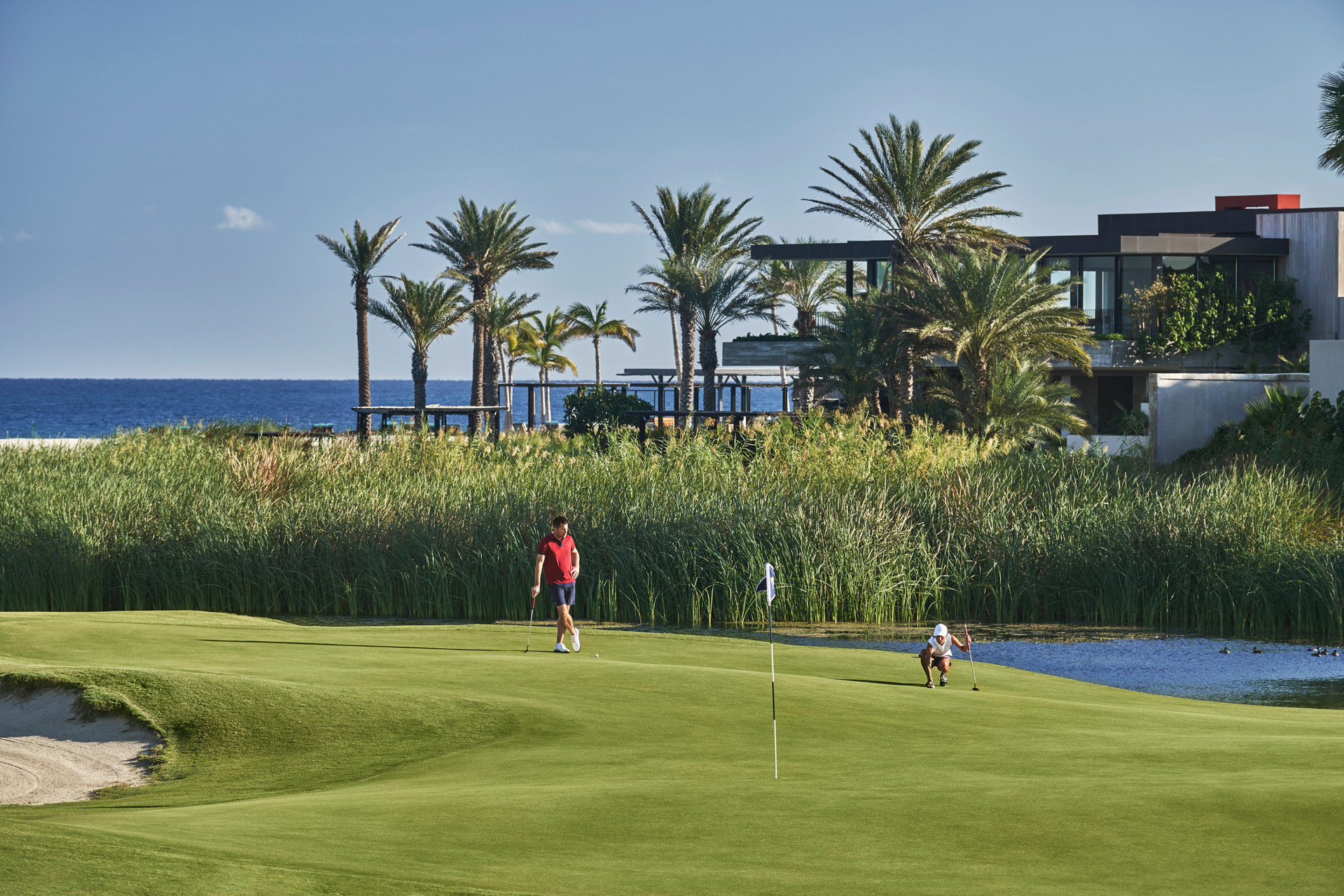 Four Seasons Resort Los Cabos at Costa Palmas by null