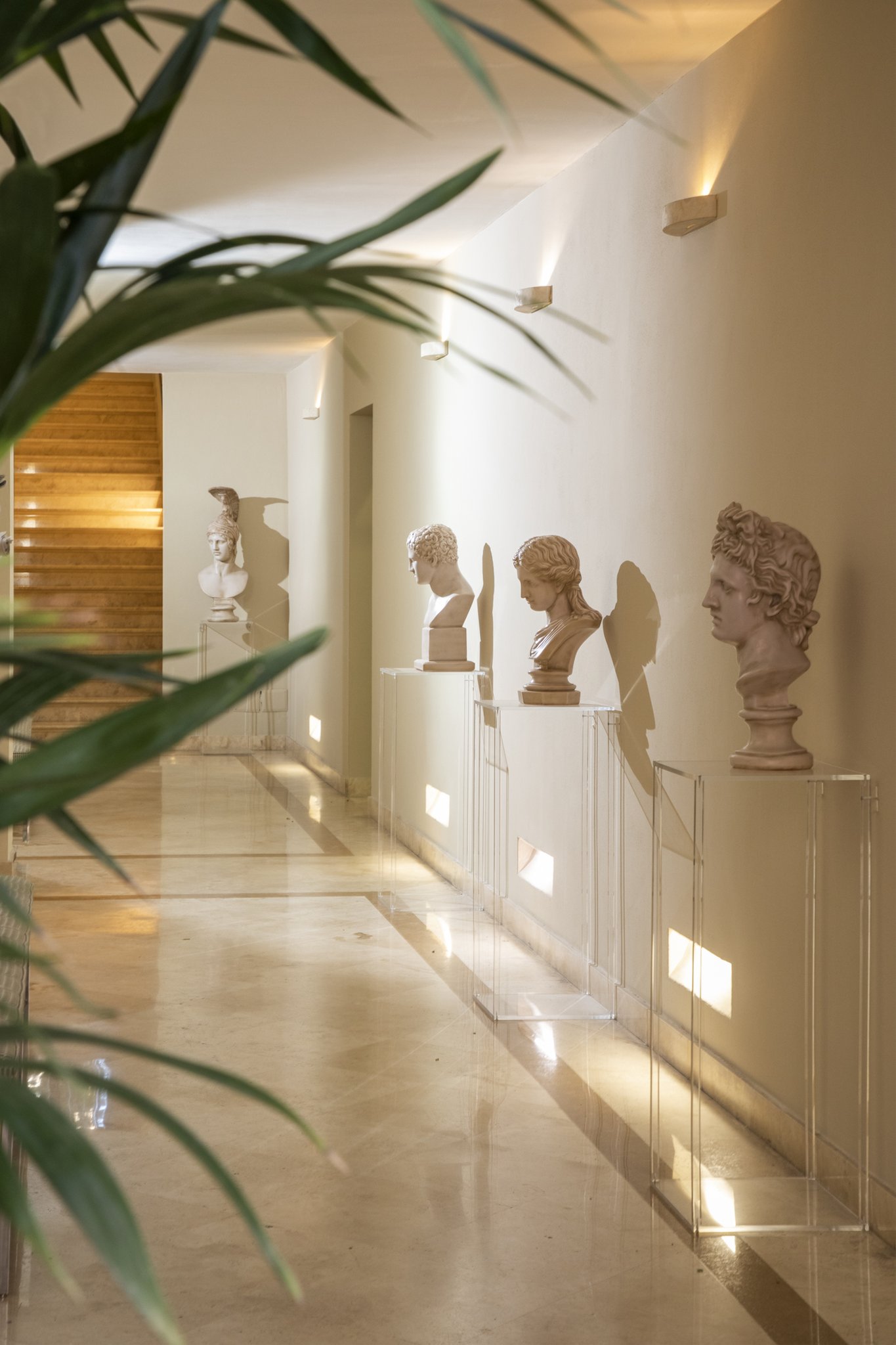 Palm Suite by null