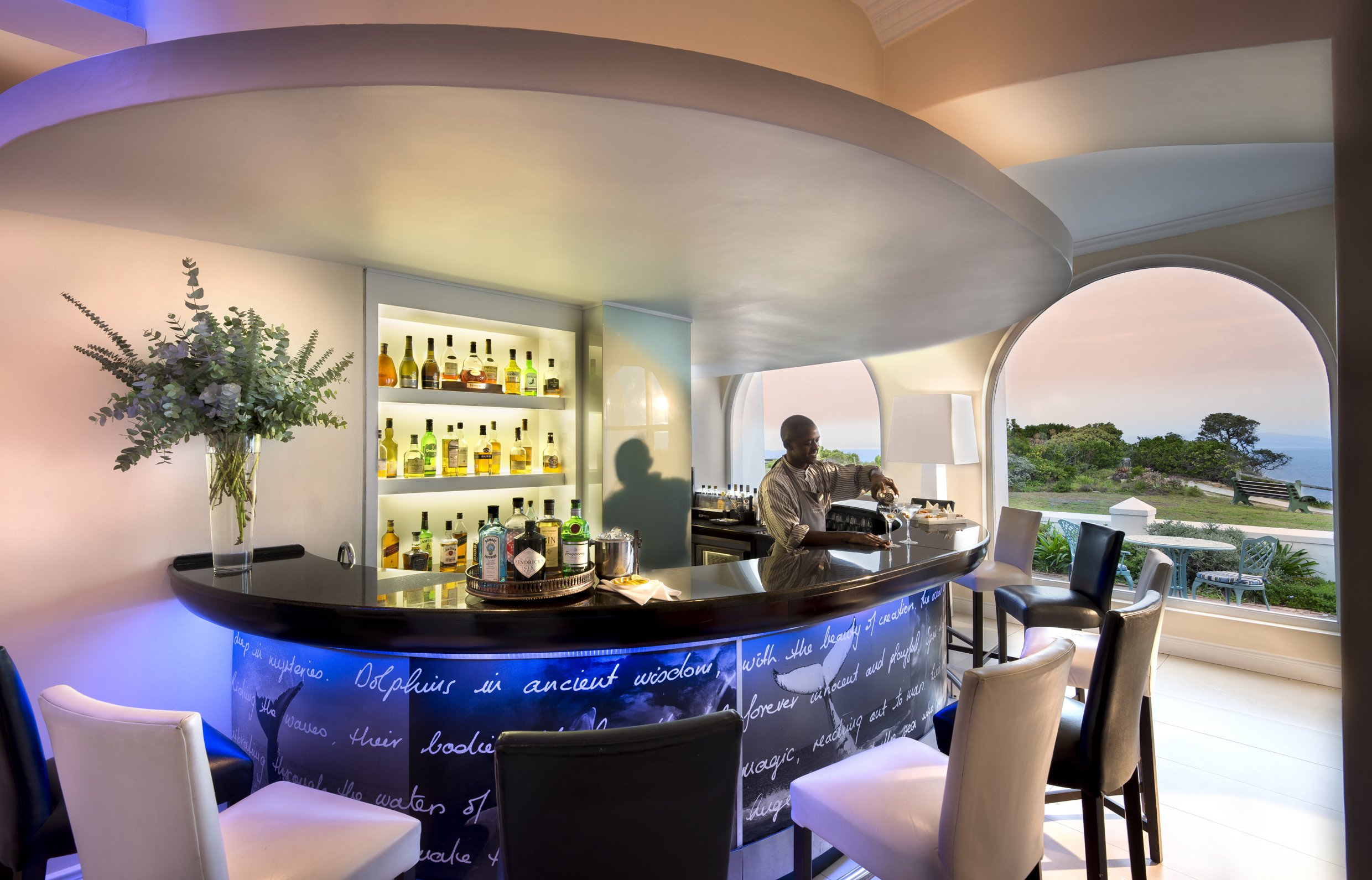 The Marine Hermanus by null