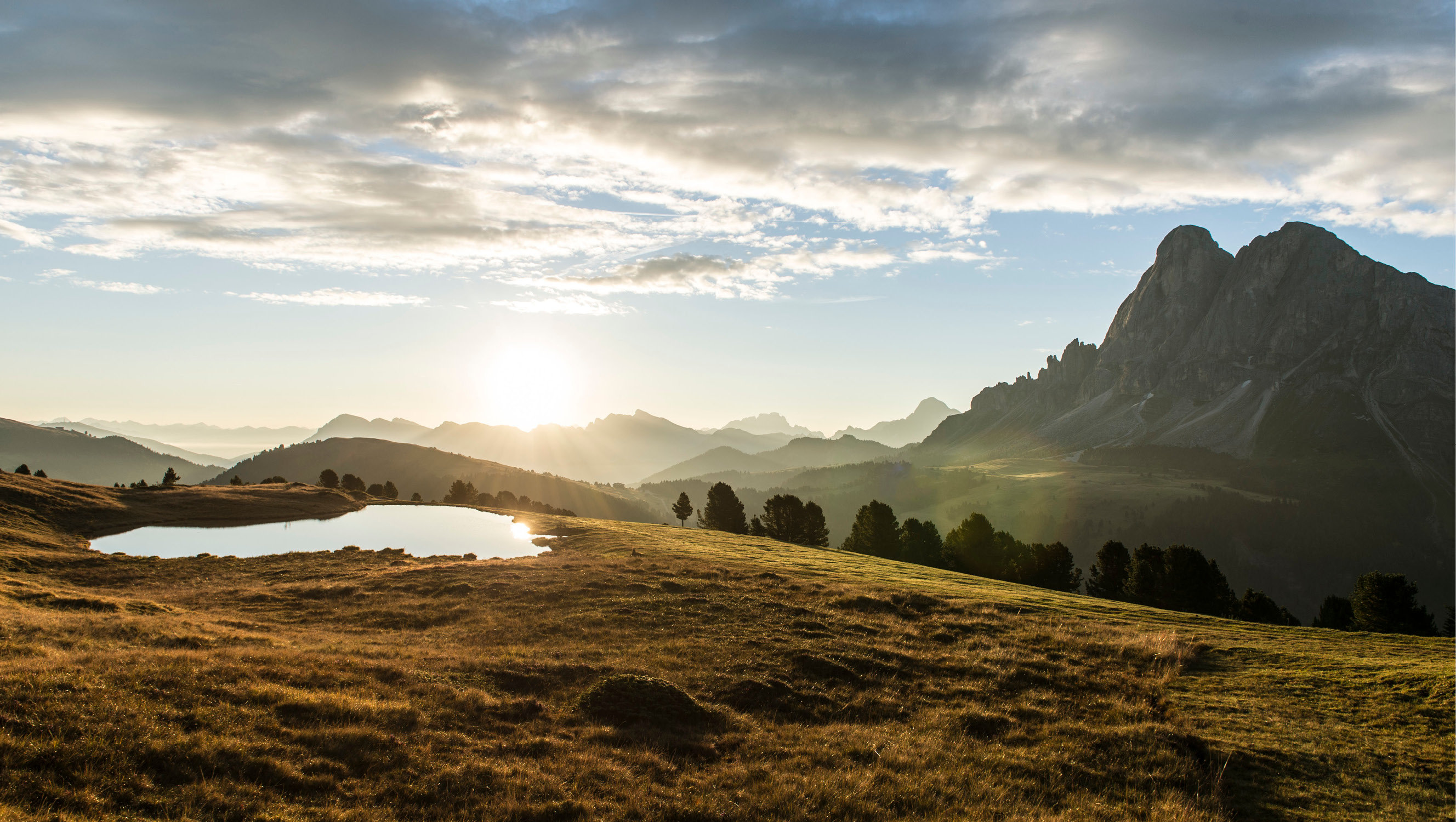 Forestis Dolomites by null