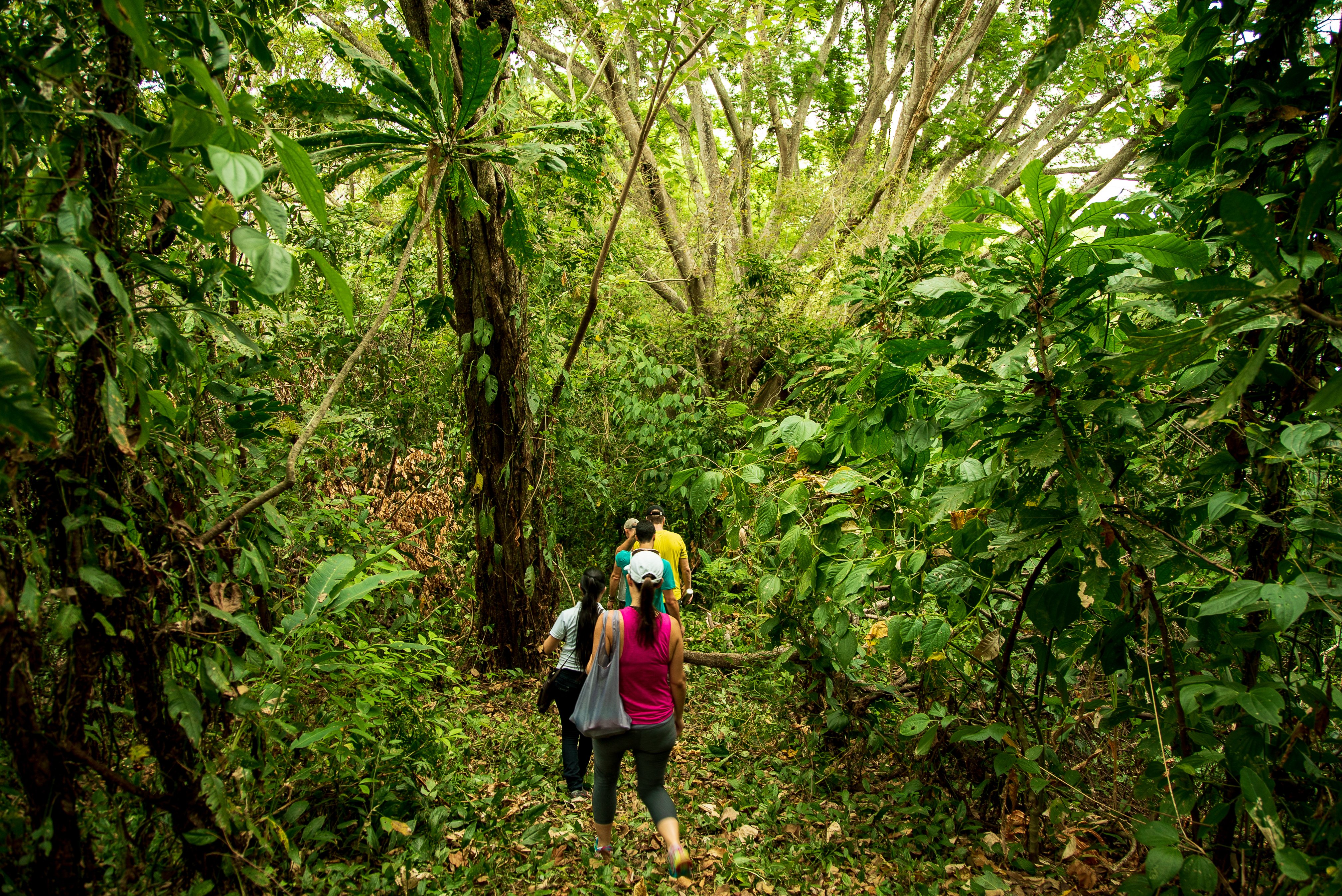 Isla Palenque by null