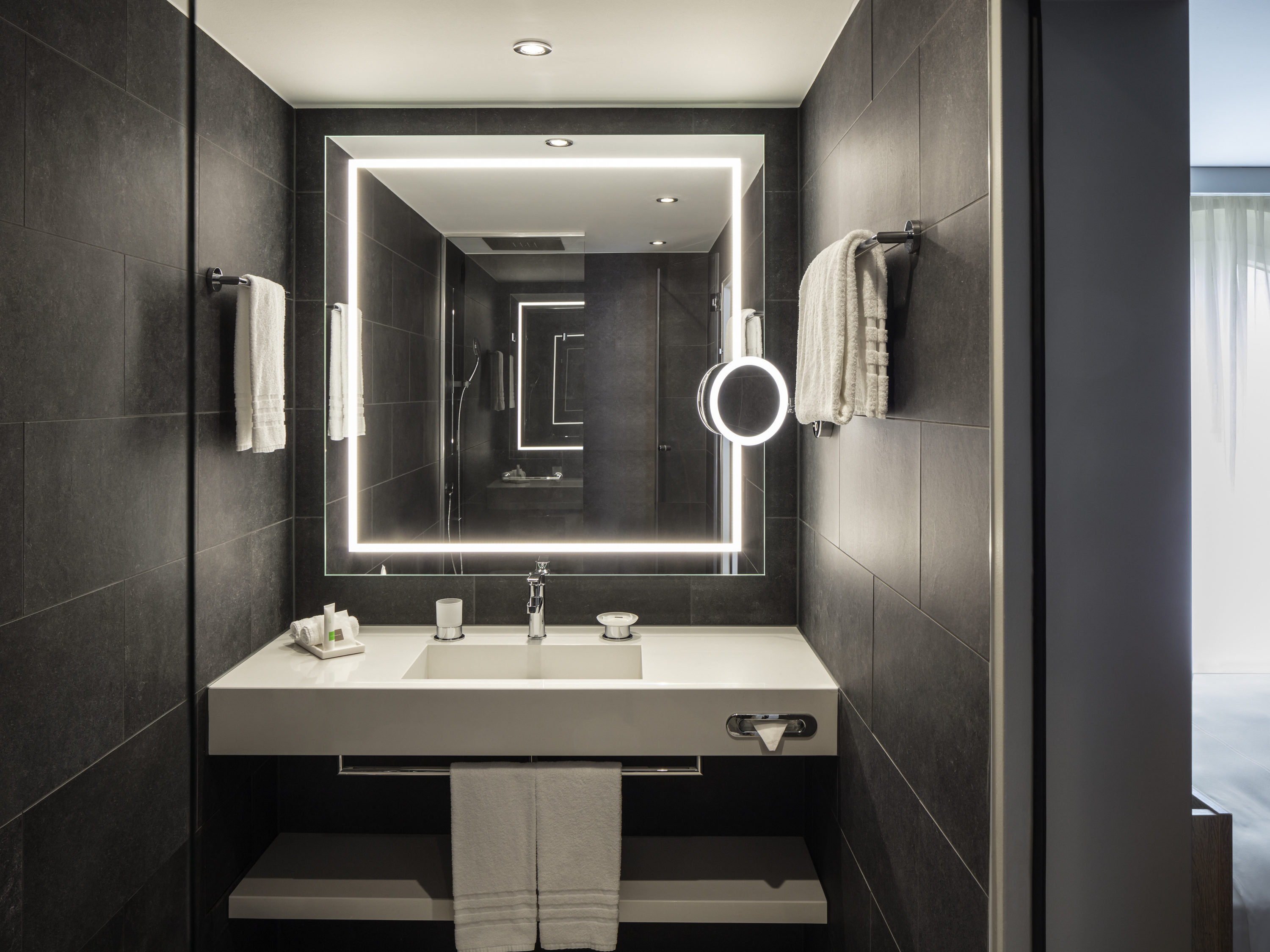 Swissôtel Le Plaza Basel by null