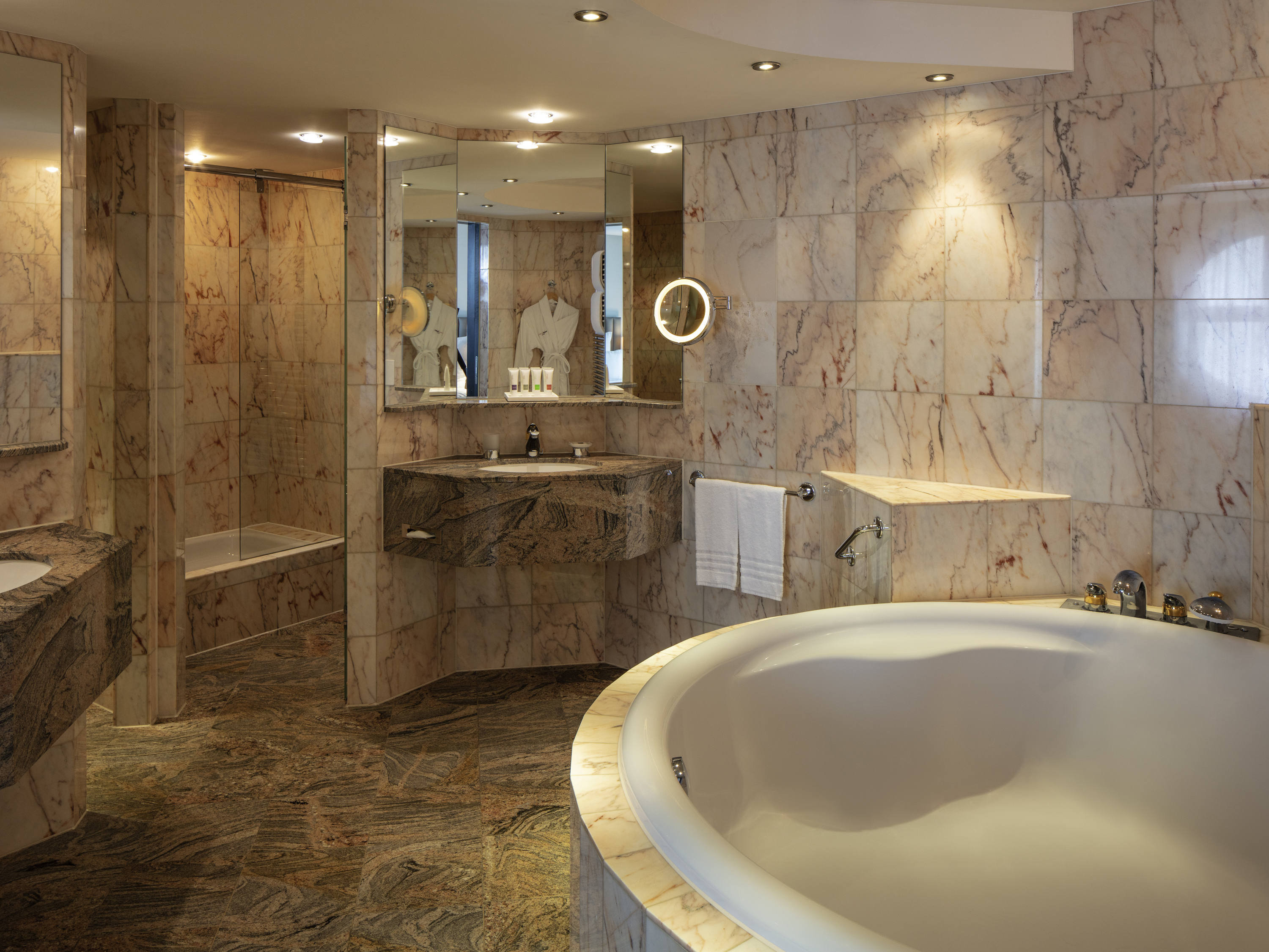 Swissôtel Le Plaza Basel by null