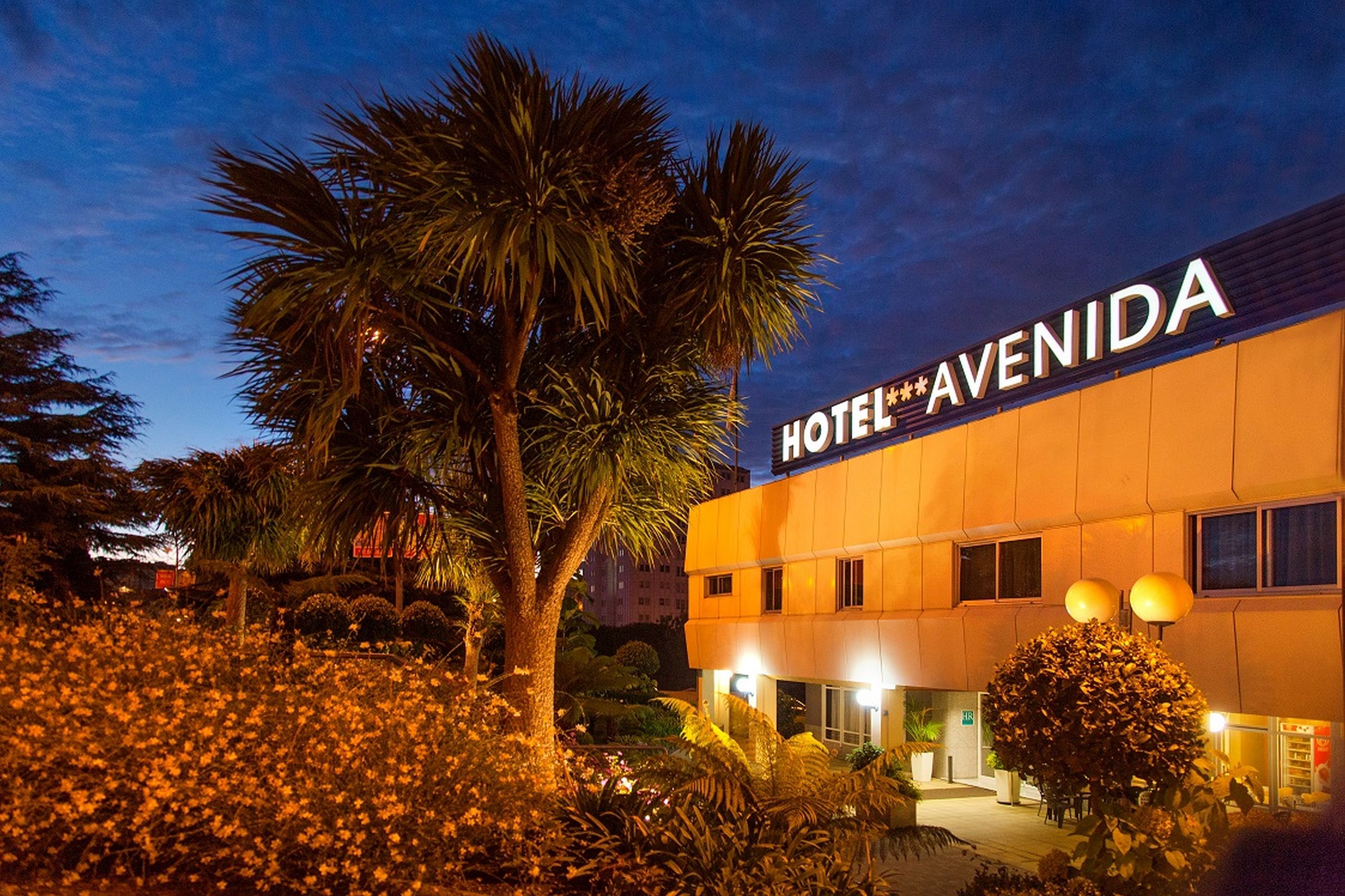 Hotel Avenida image