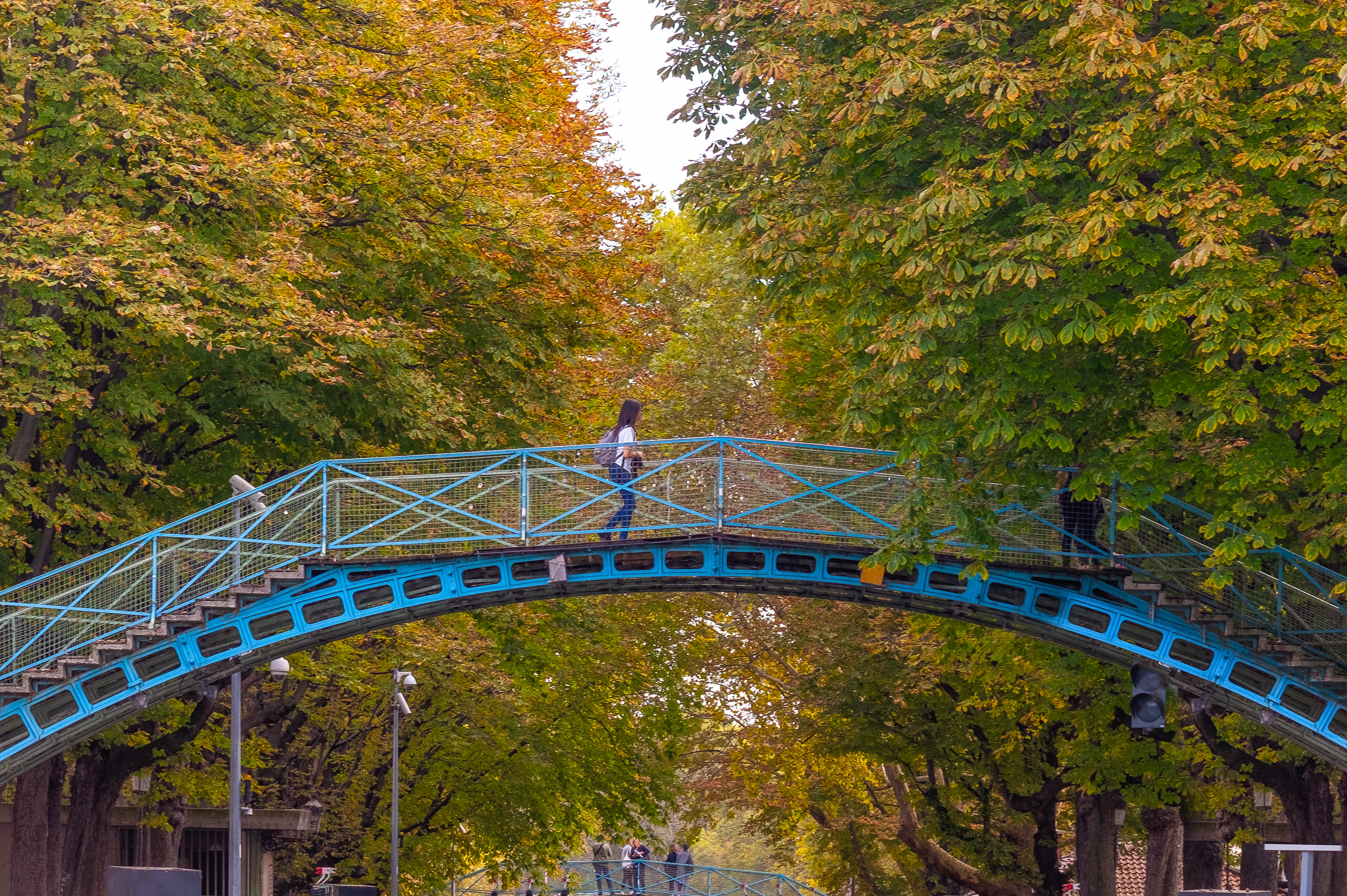 LA PLANQUE HOTEL by null