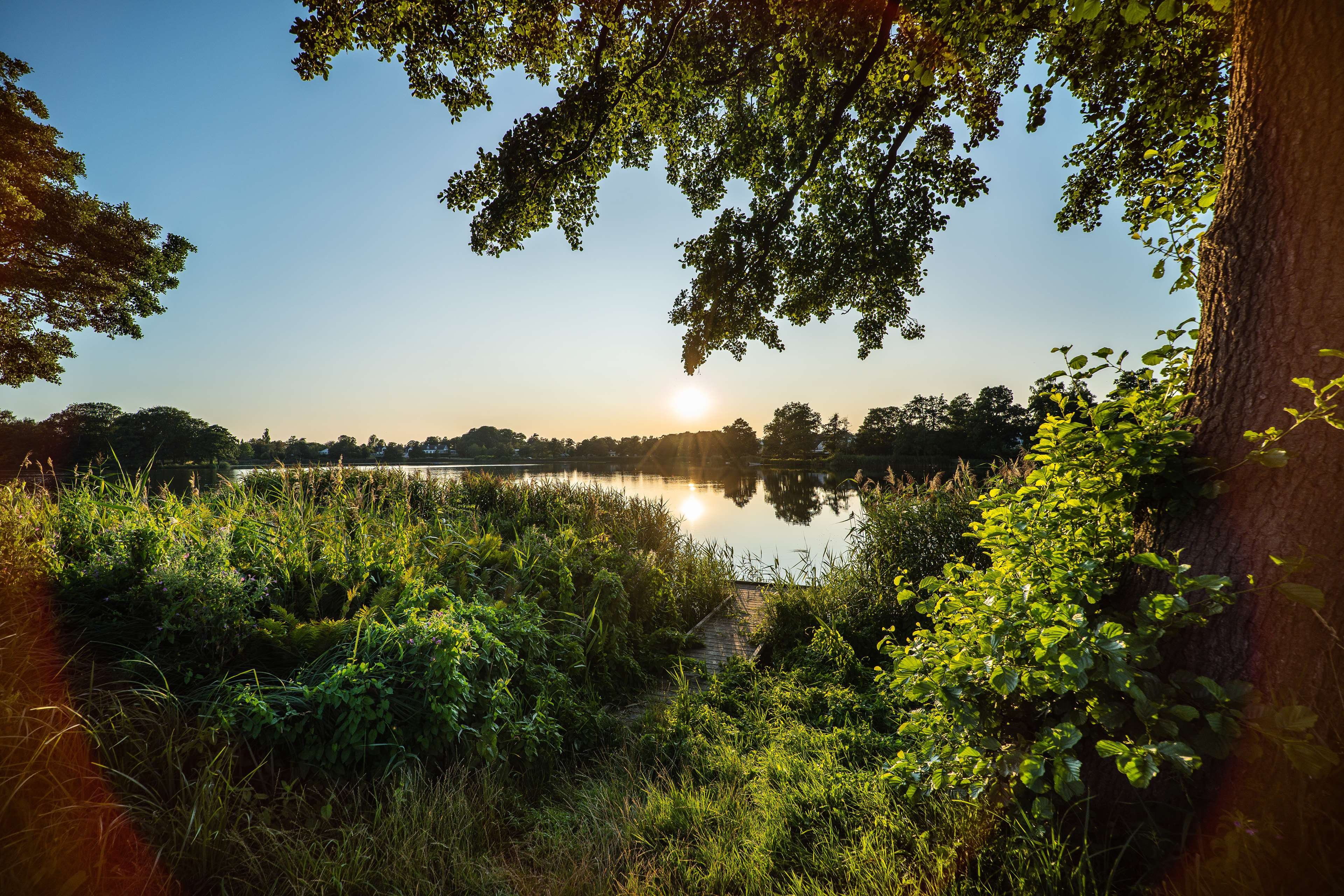 Hotel Bretagne by null