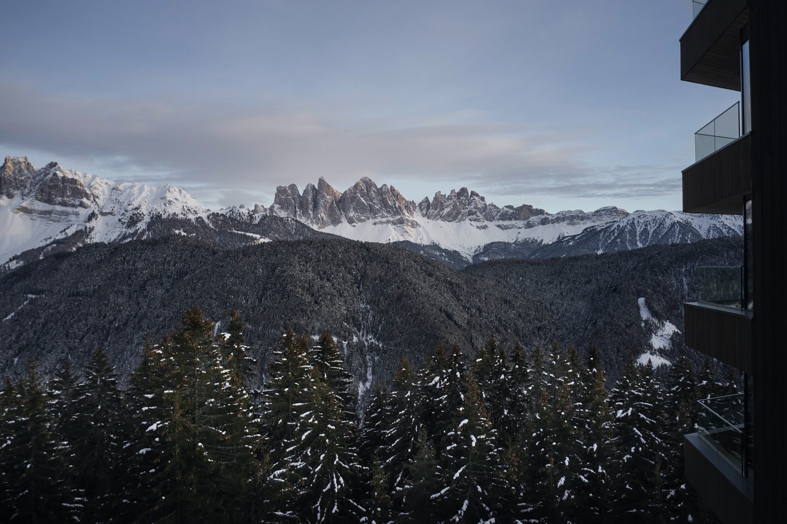 Forestis Dolomites by null